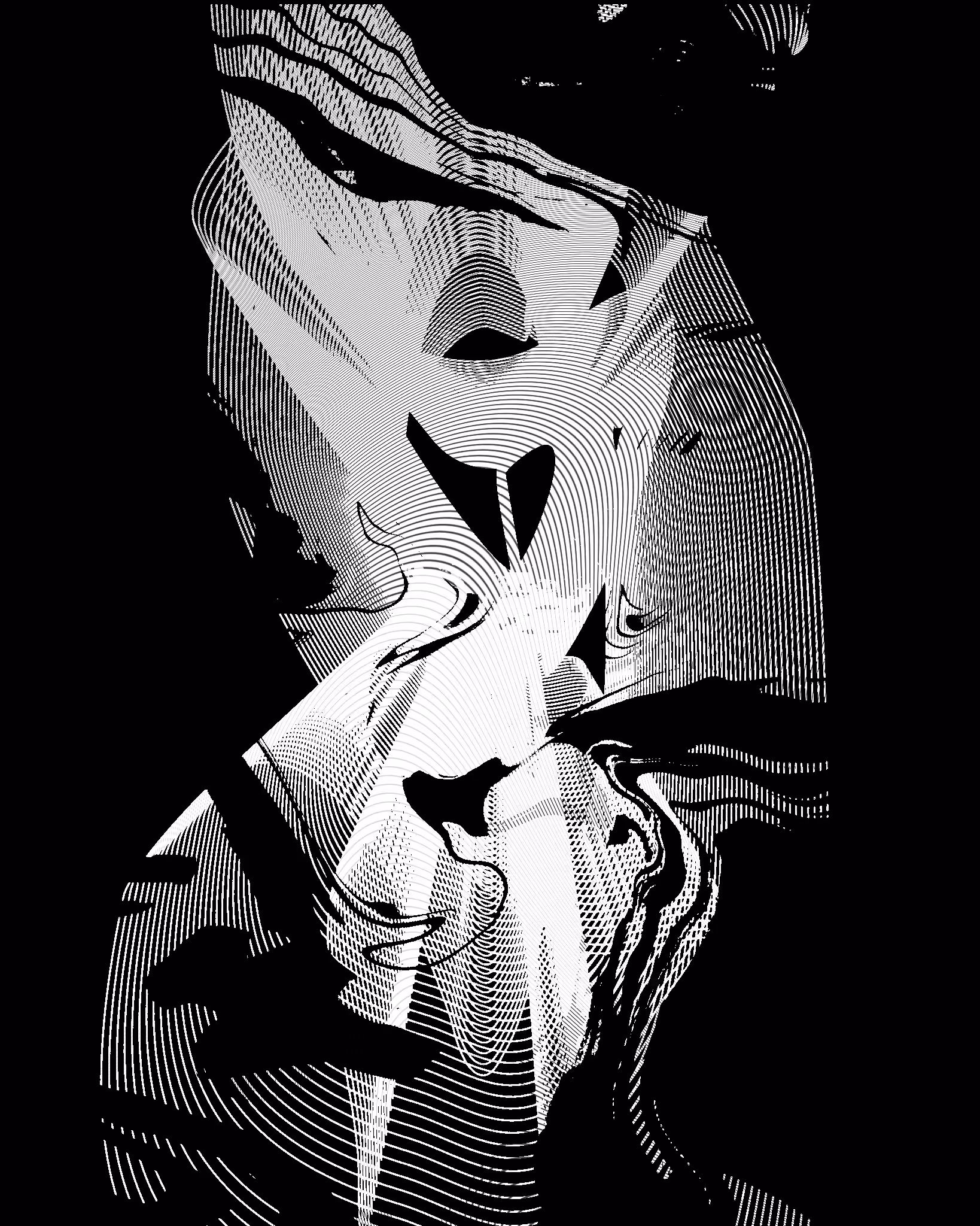 ANIMAS 012
