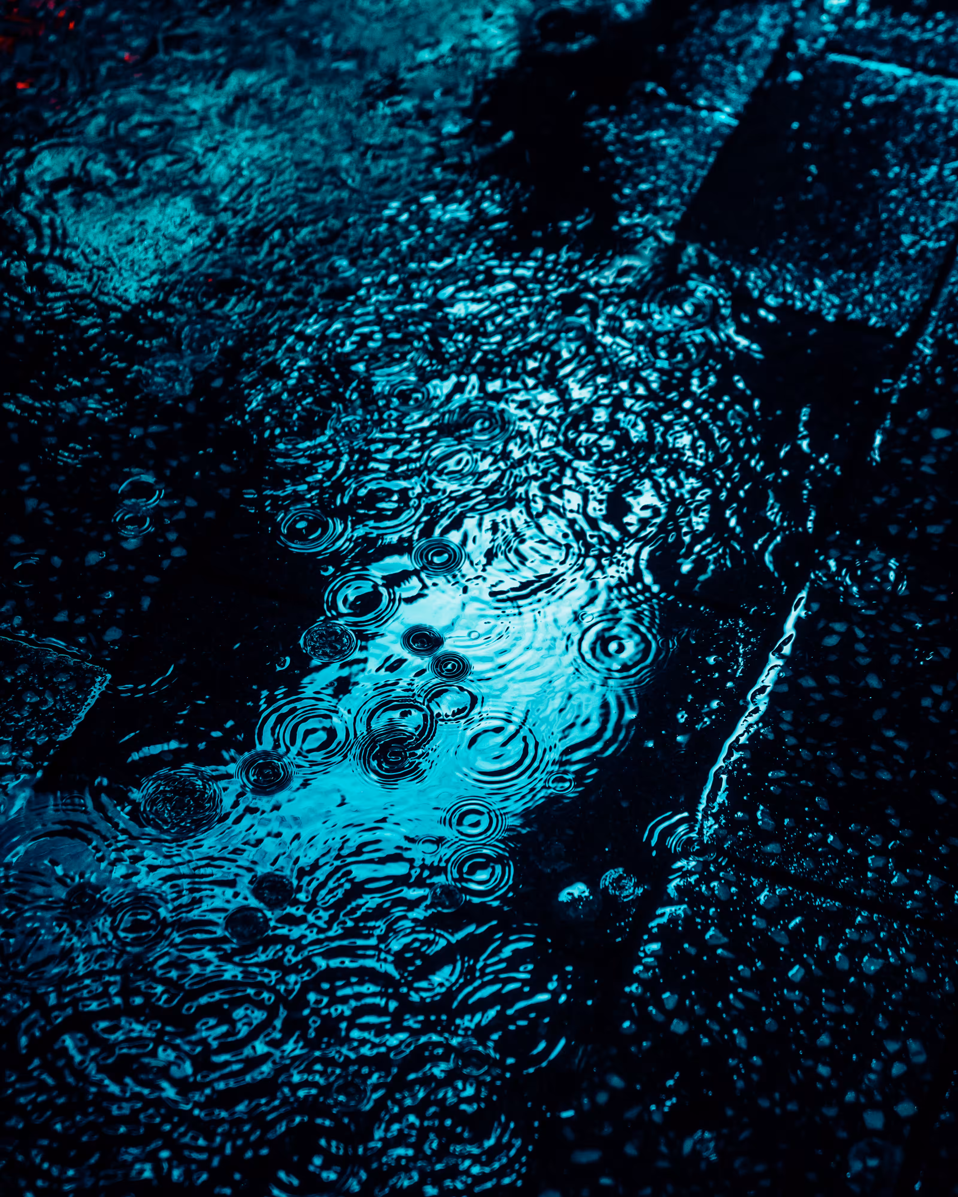 DRIP DROP: DRIP #290