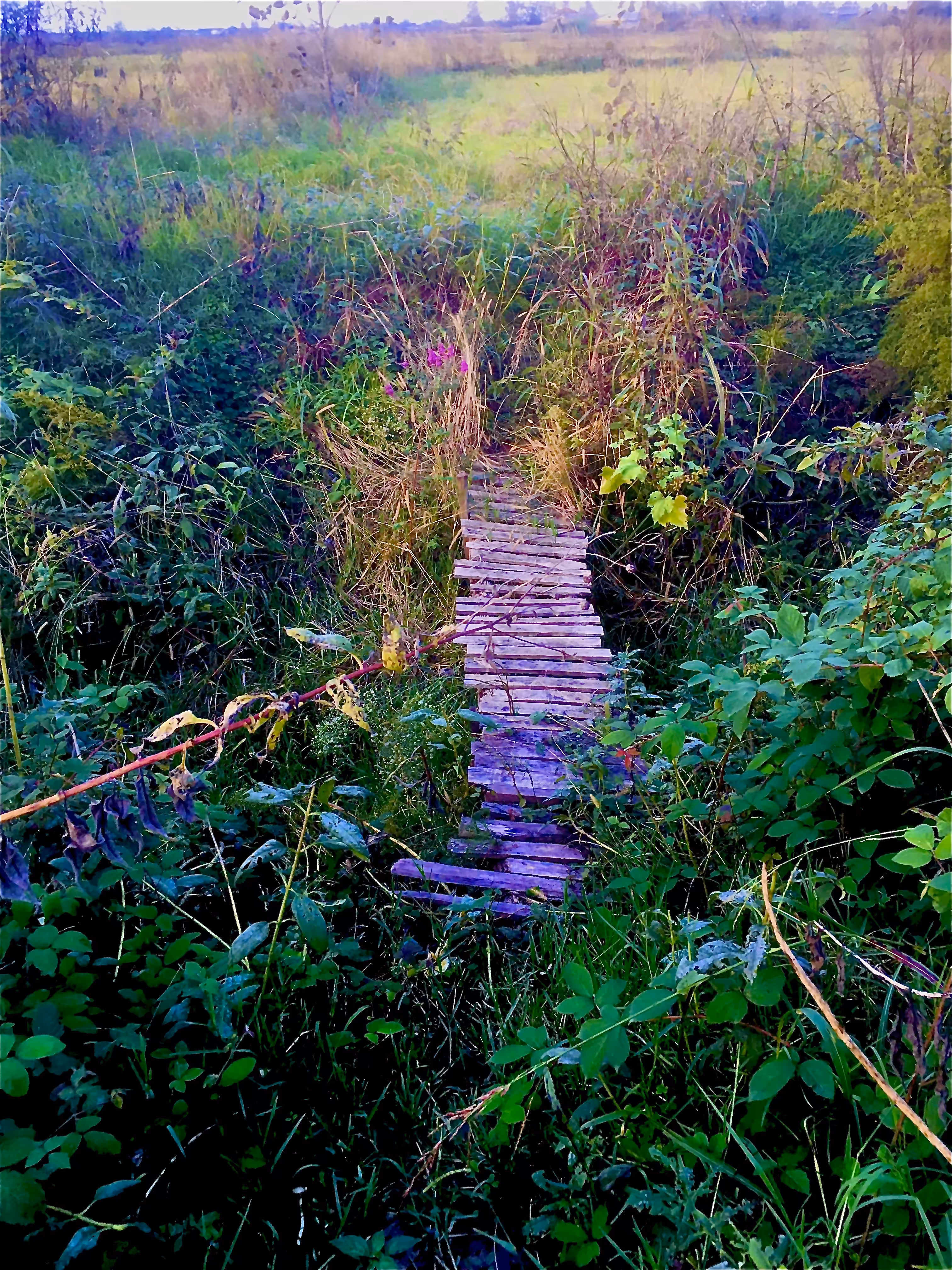Bridge to heaven