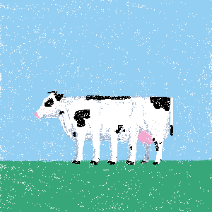 cows: cow #33