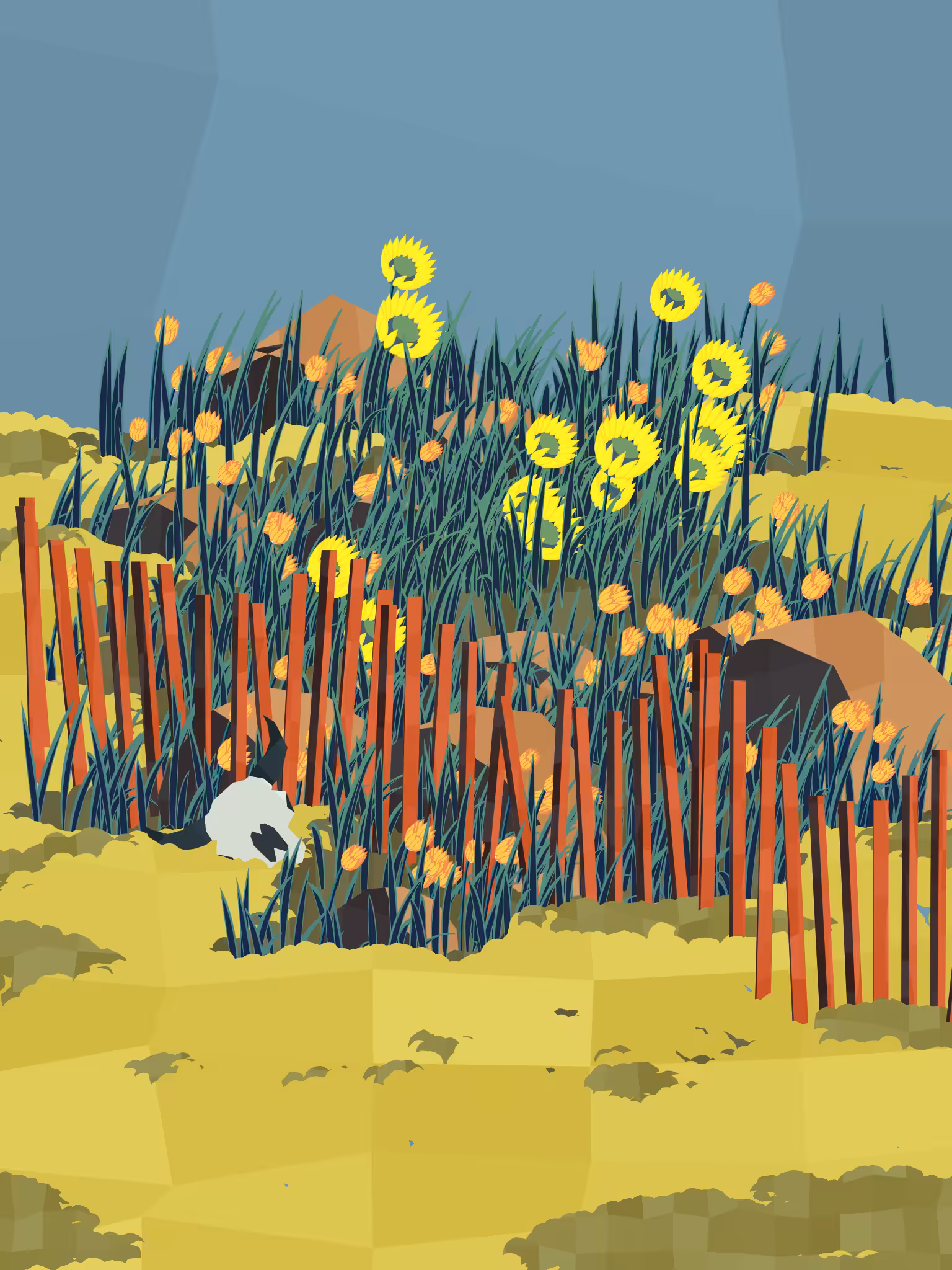 Frontier #18