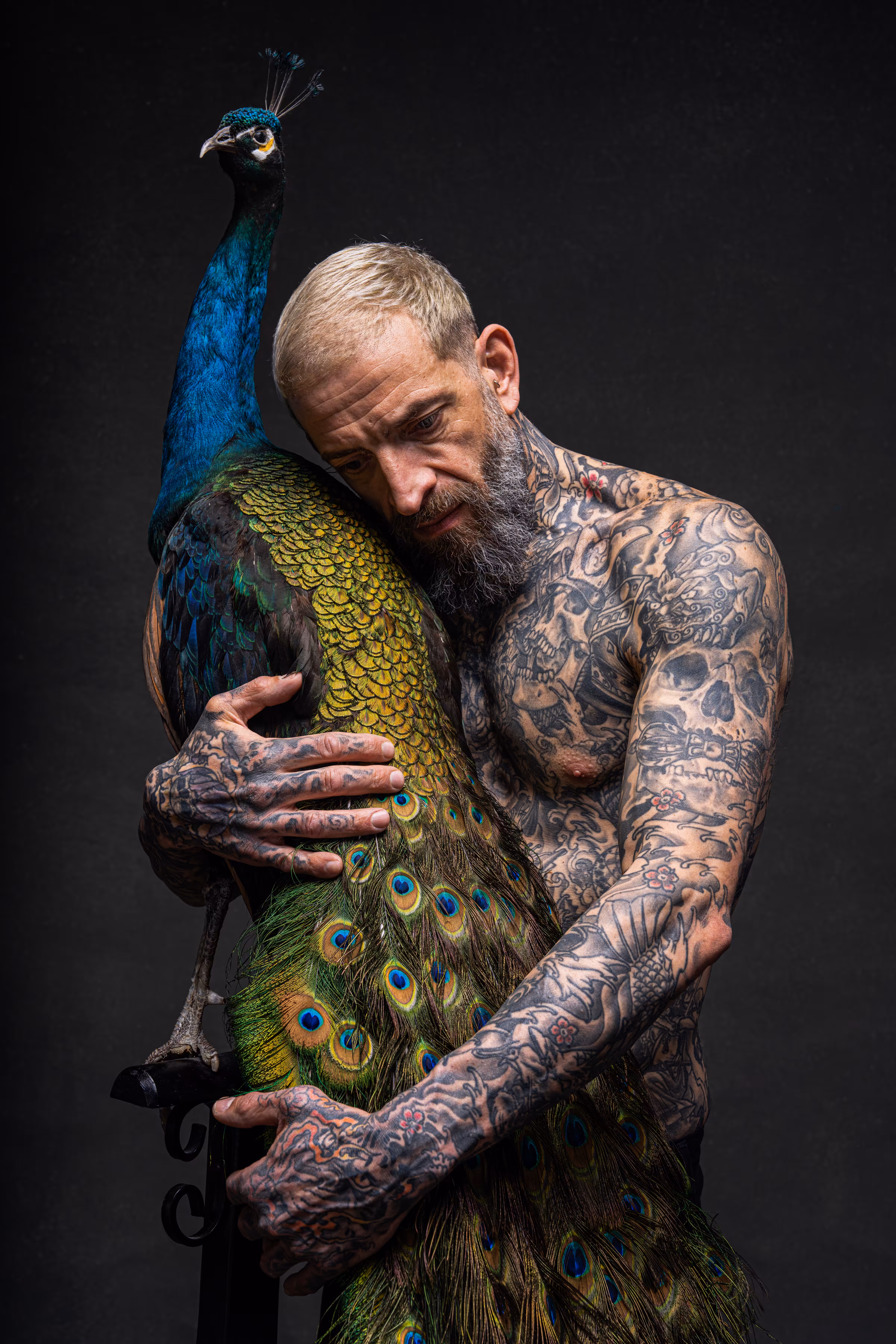 Franck and the Peacock