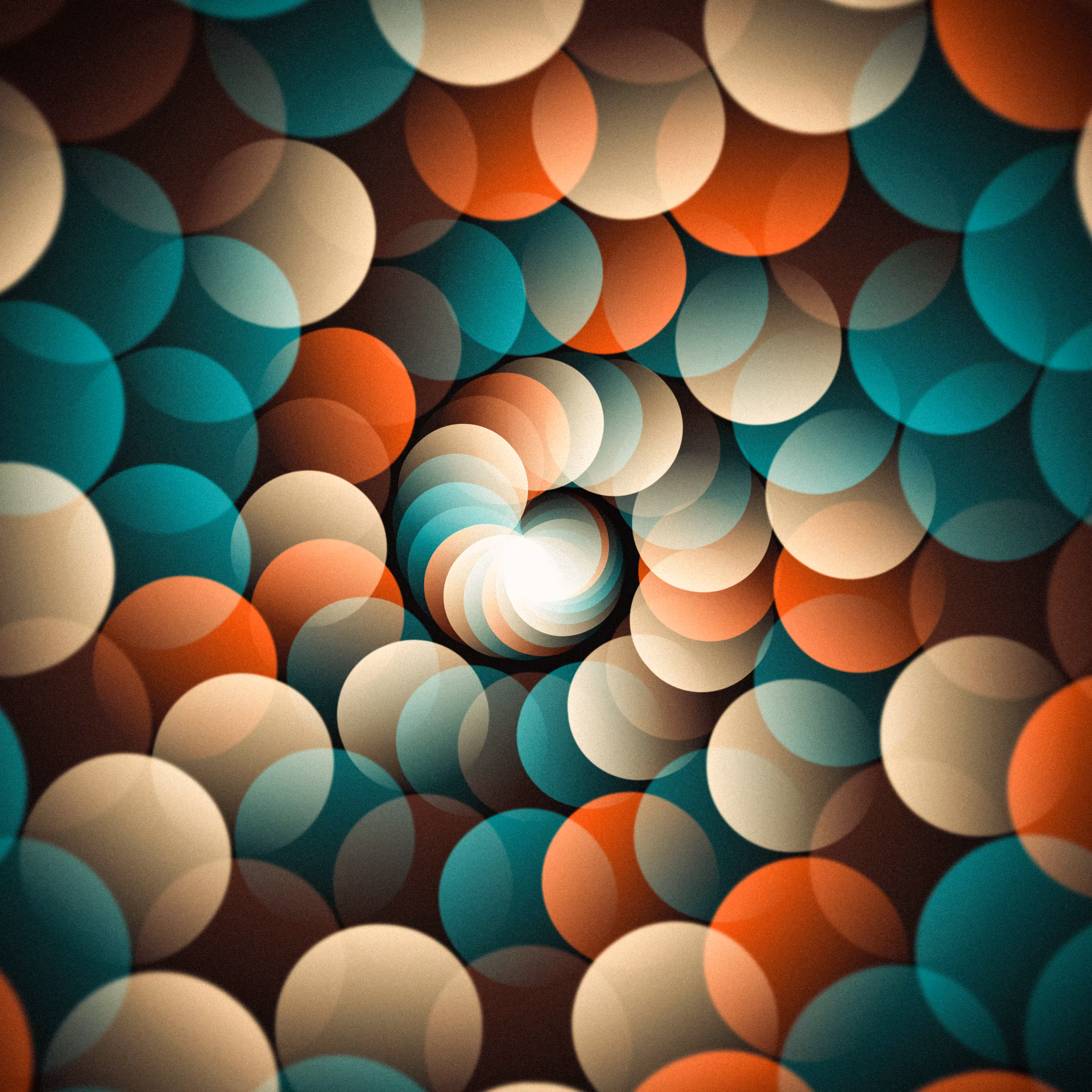 Twist)03