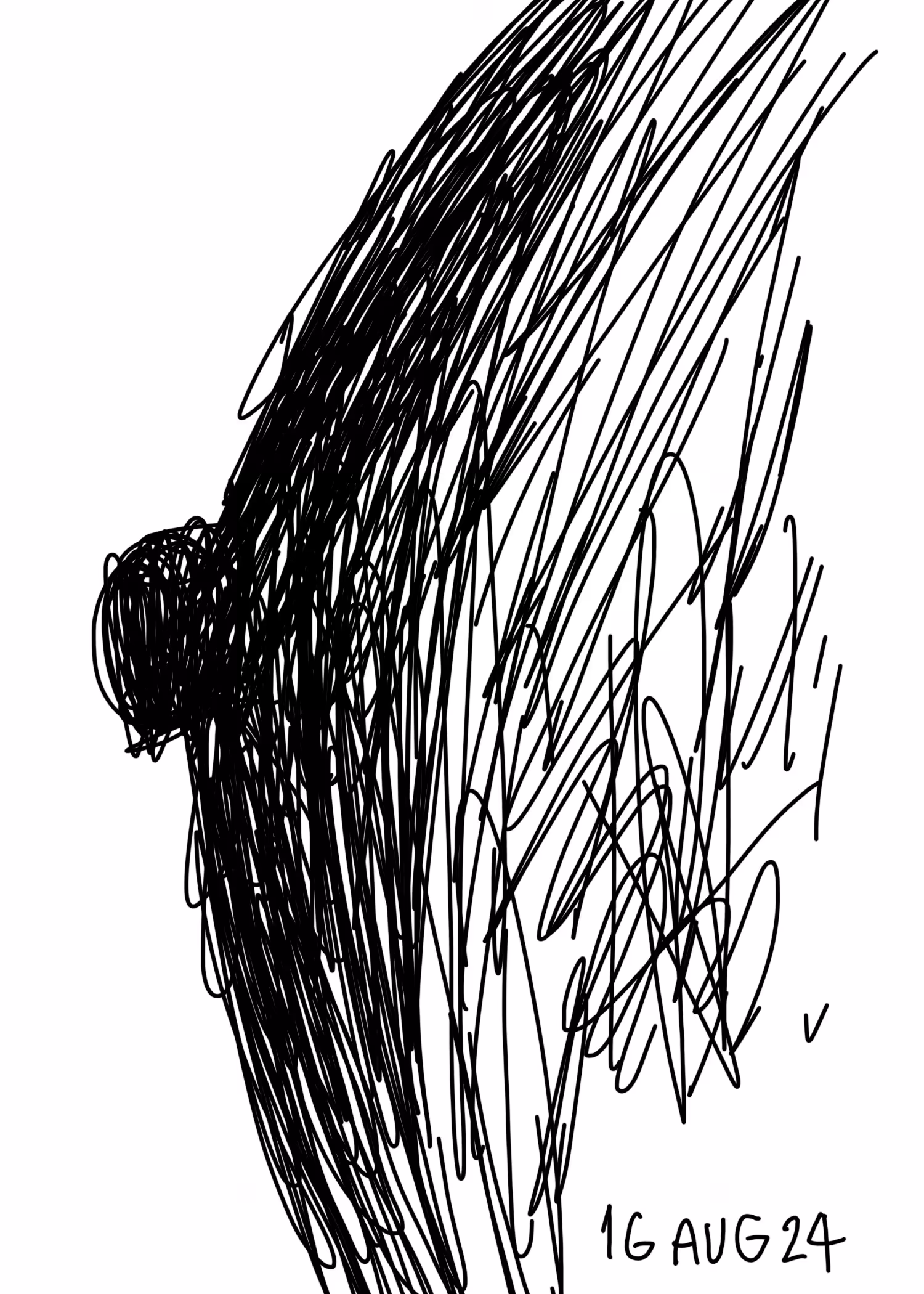 16 AUG 24