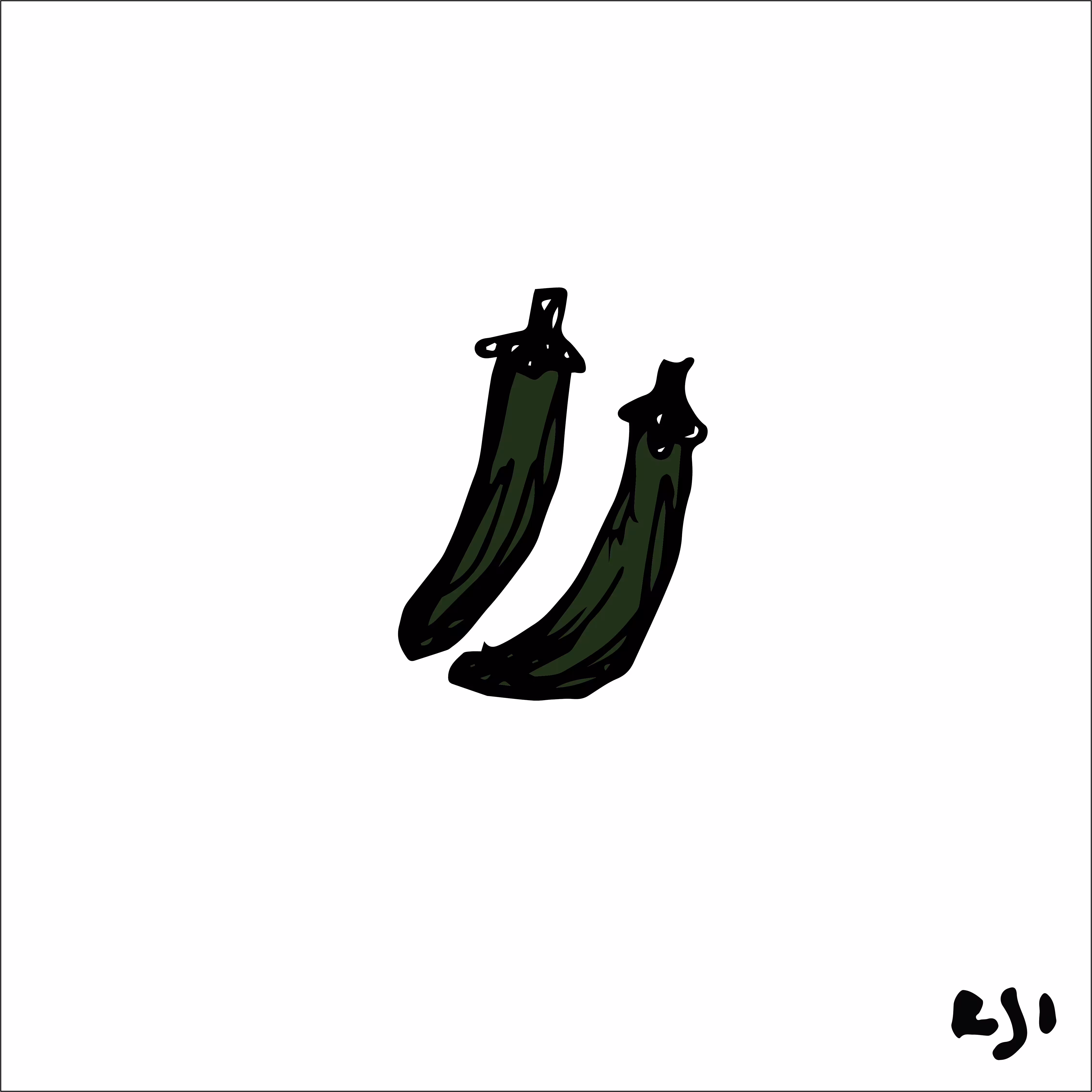 Jalapeño 