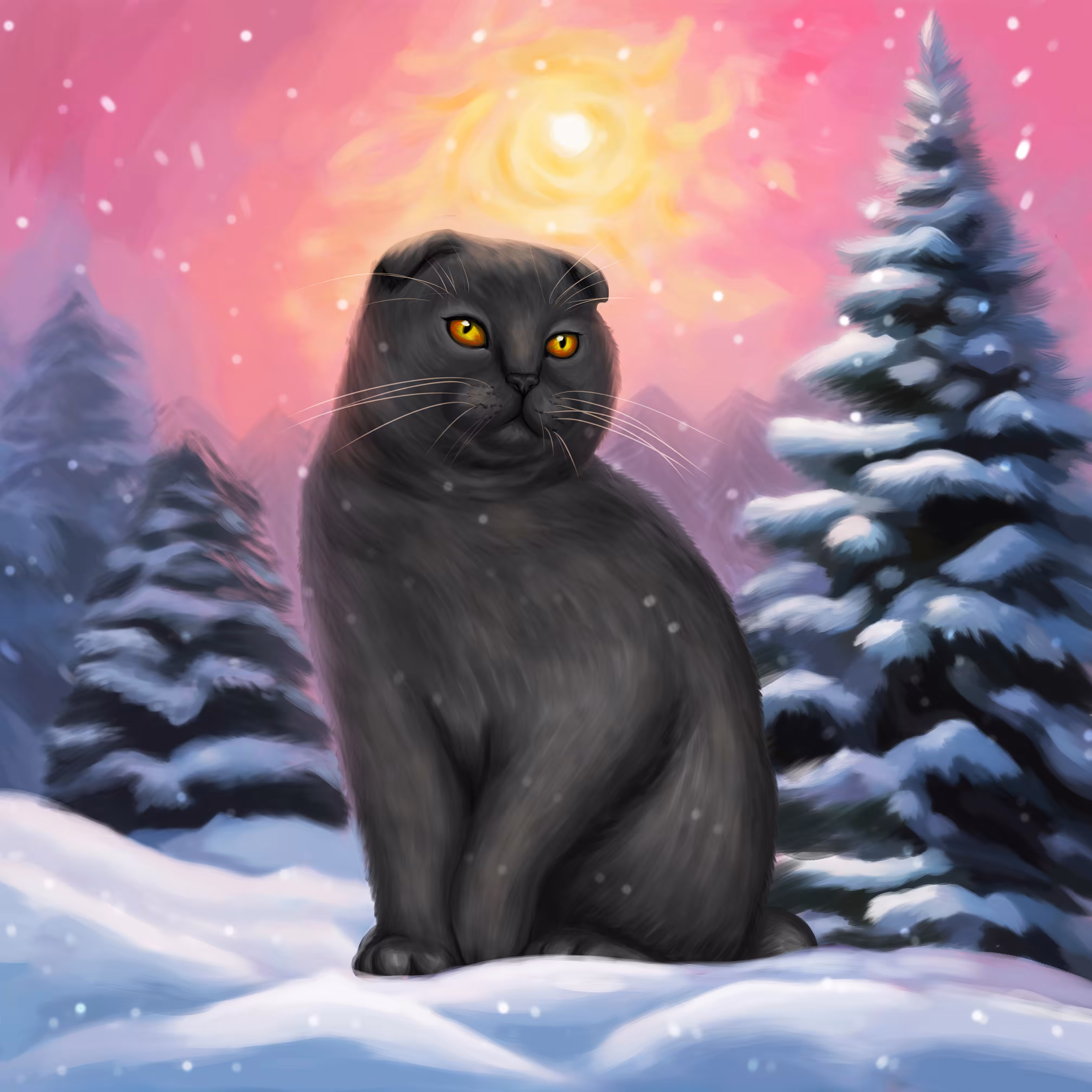 Winter cat Masya