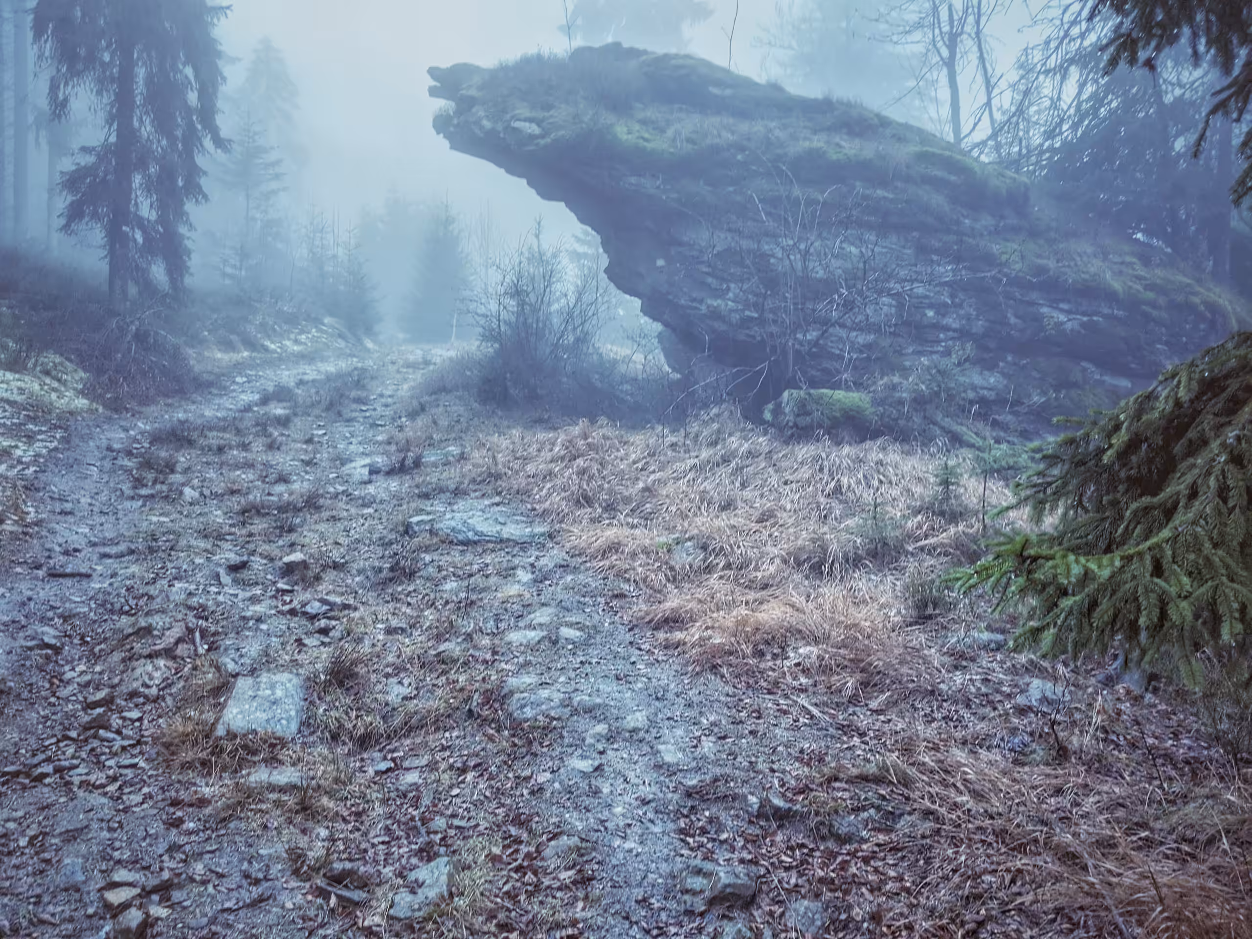 a rock in the fog