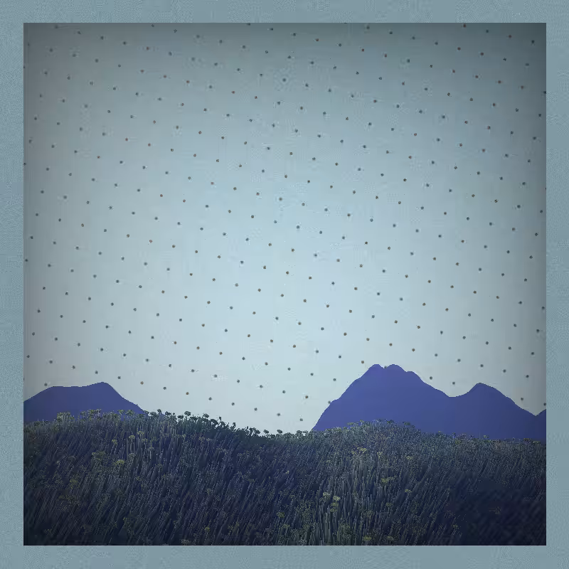 Mi  #45