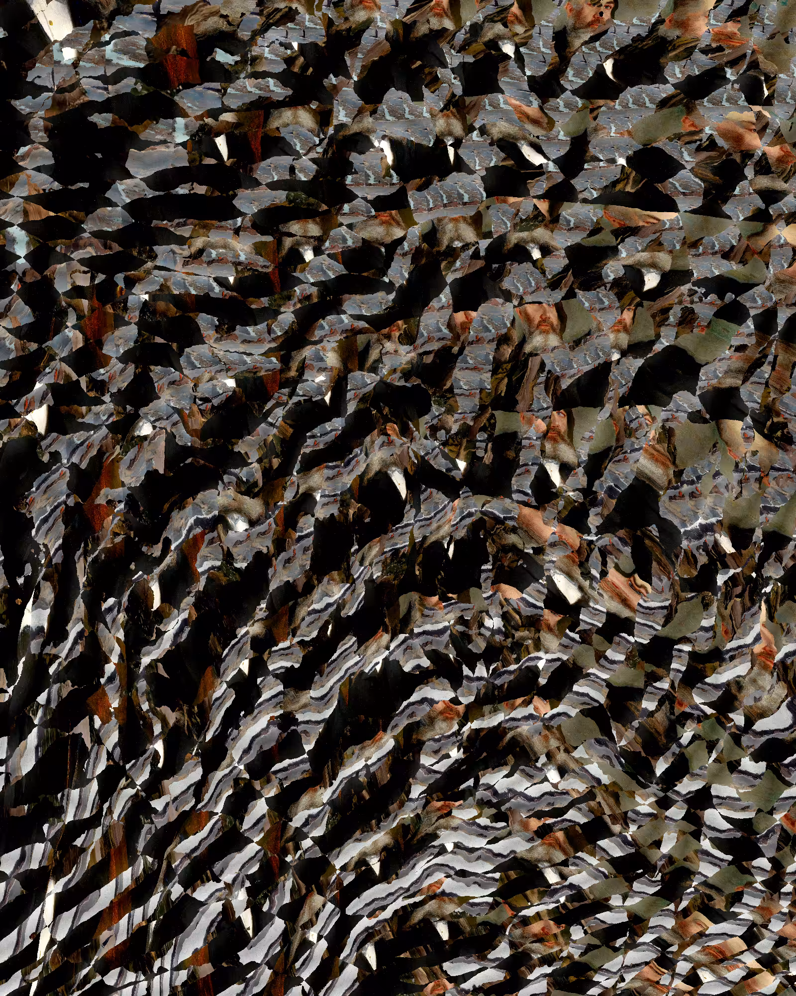 Repetition and Noise #1165