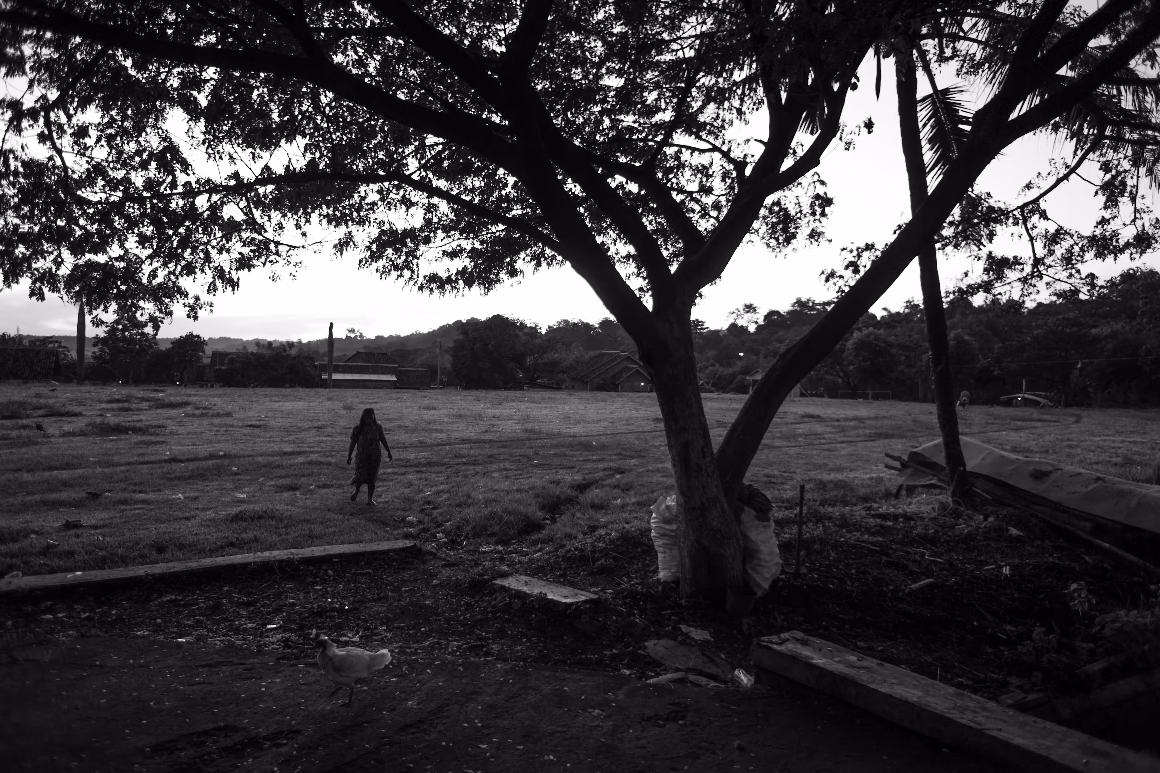 Walking Alone