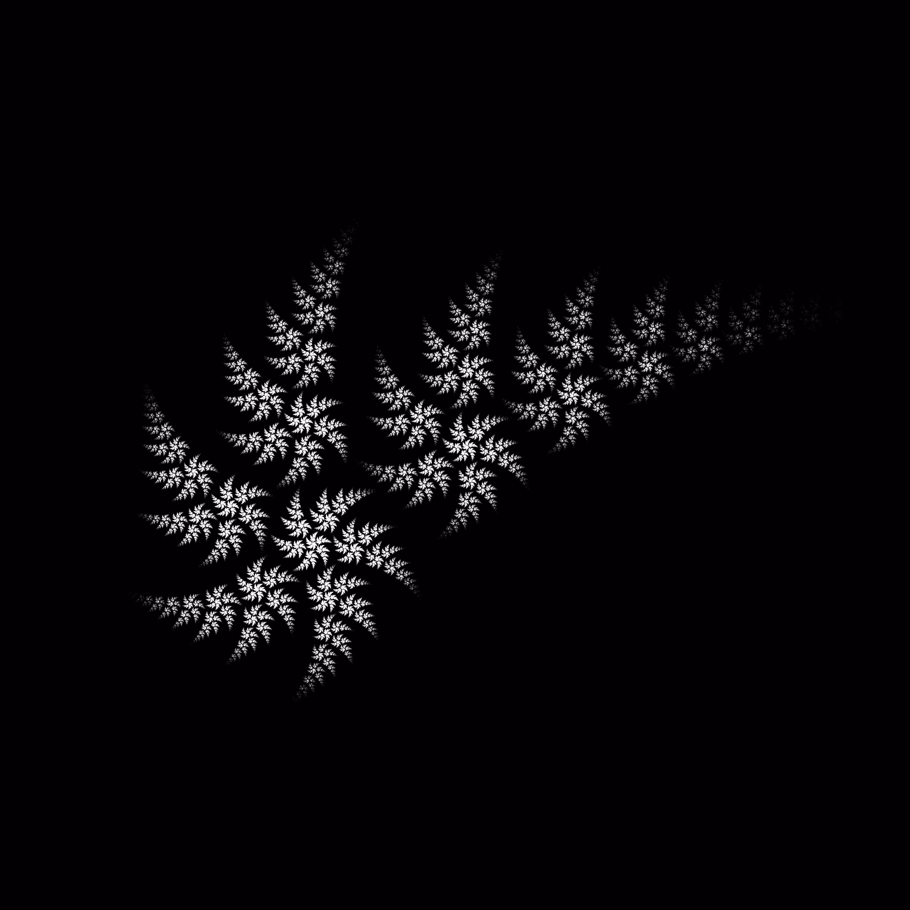 White Fern