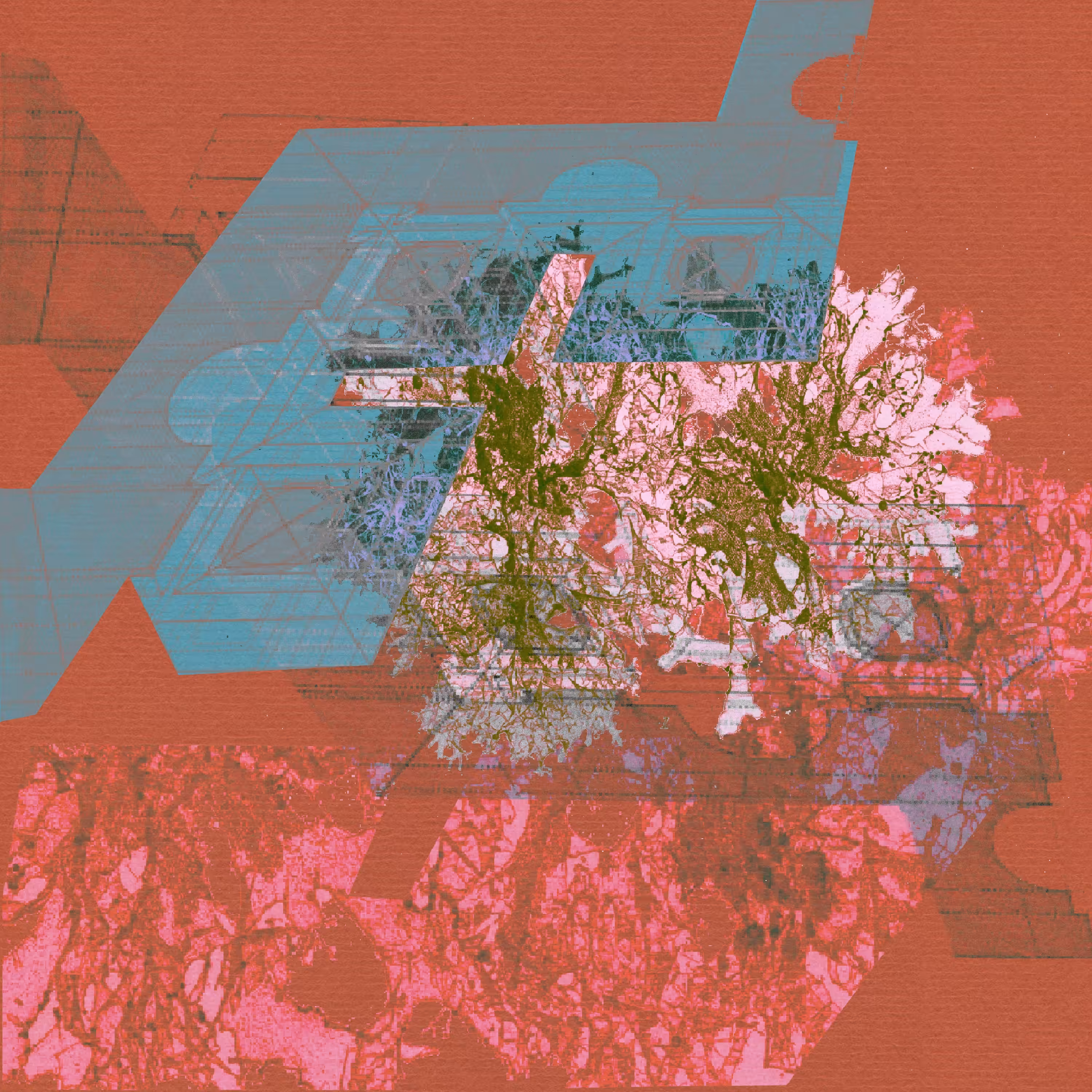 Pink Projection