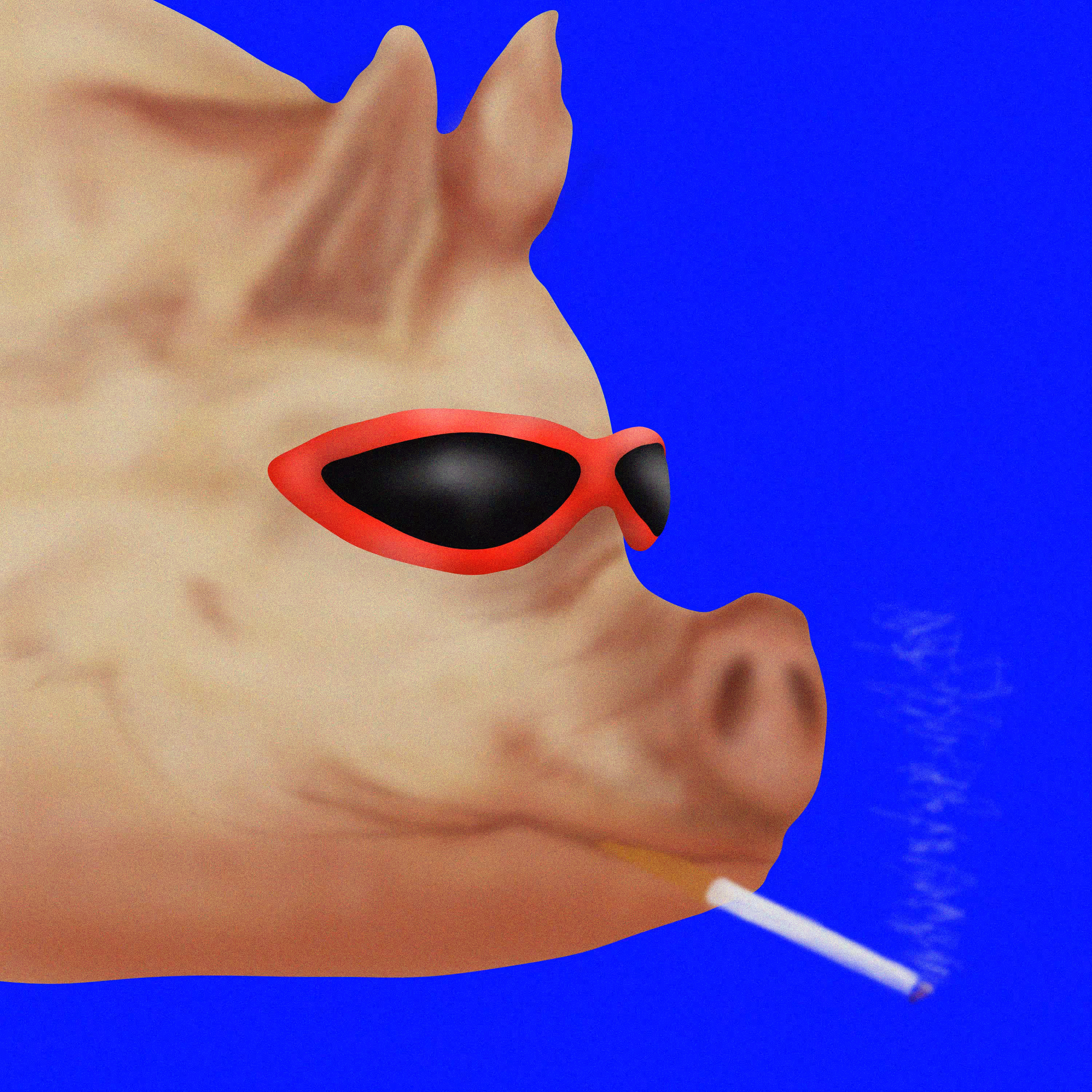 Piggie Small