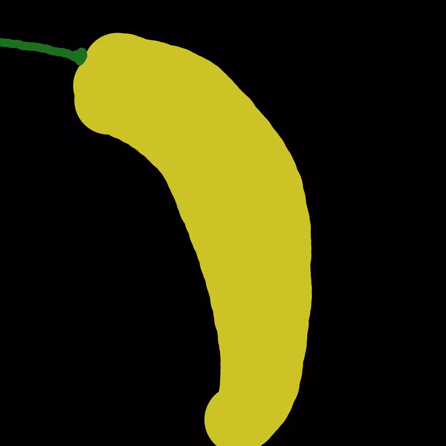 AJÍ AMARILLO