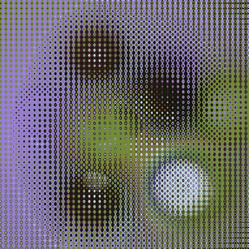 Focus #54