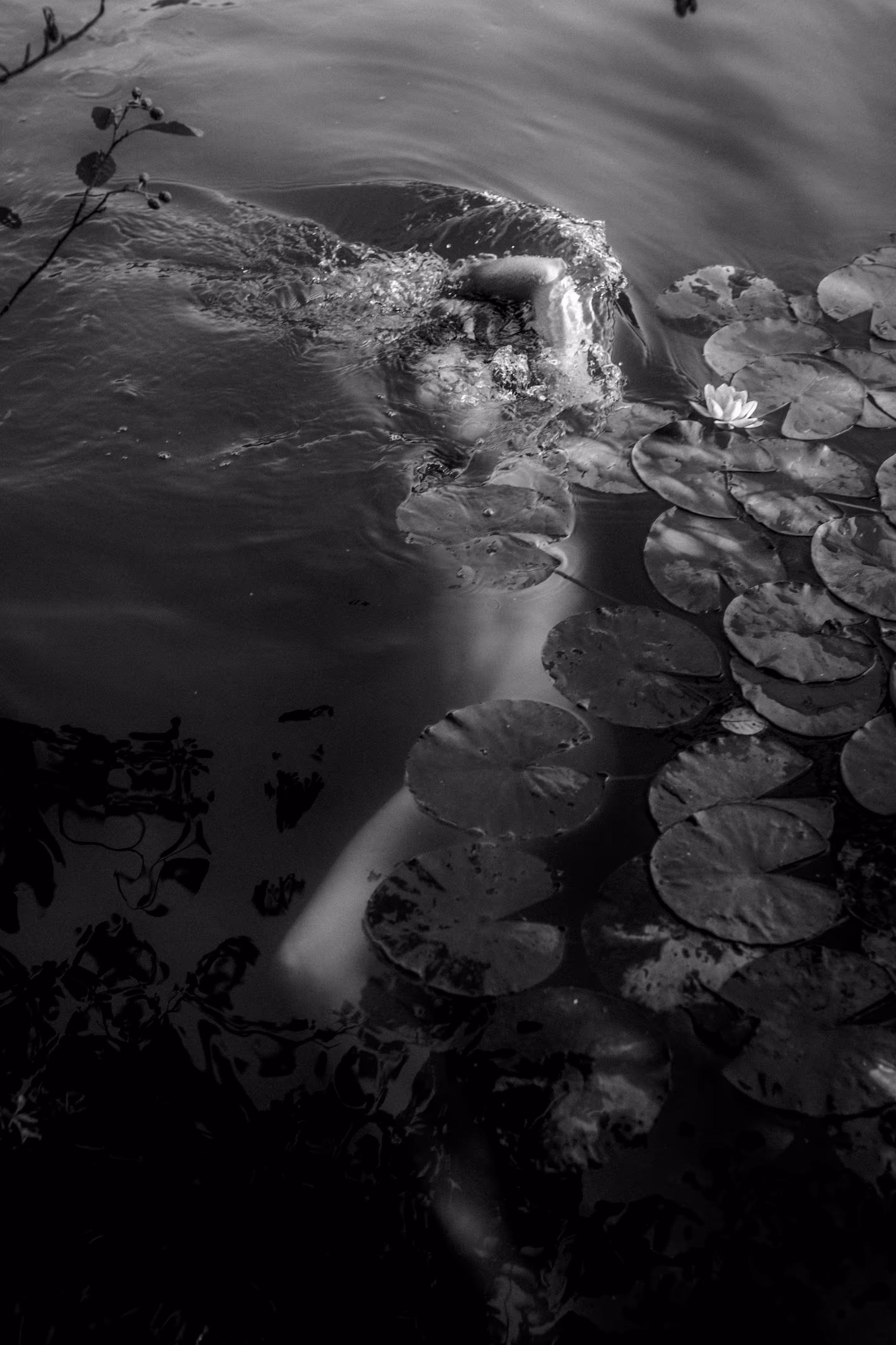 _DSC6143