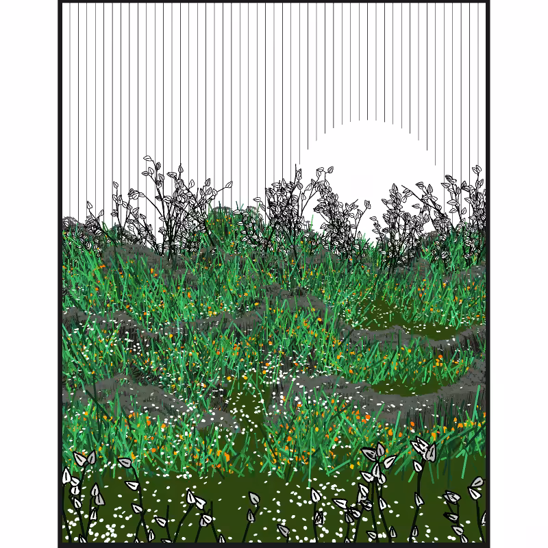 Contours #77