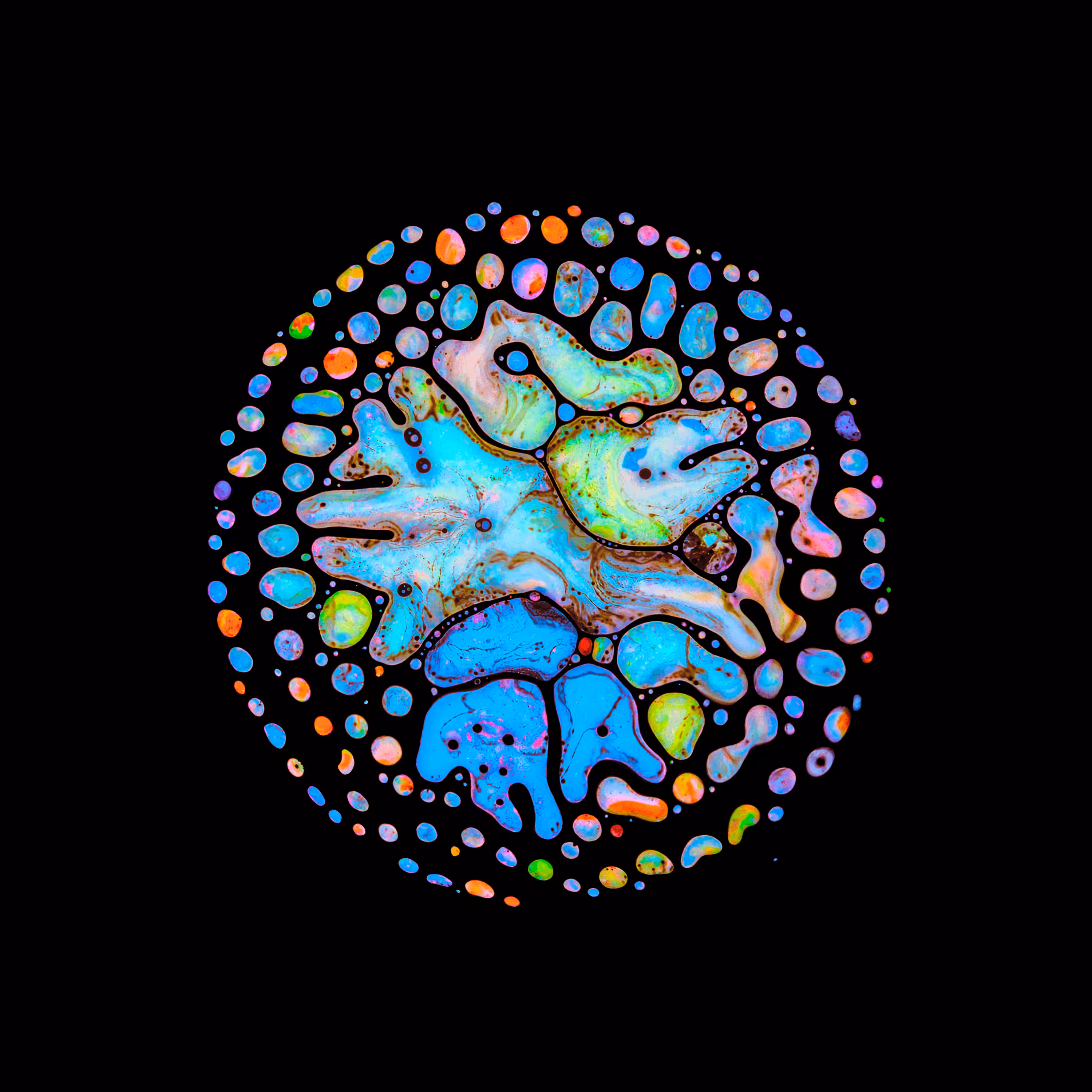 Haematopoiesis #185