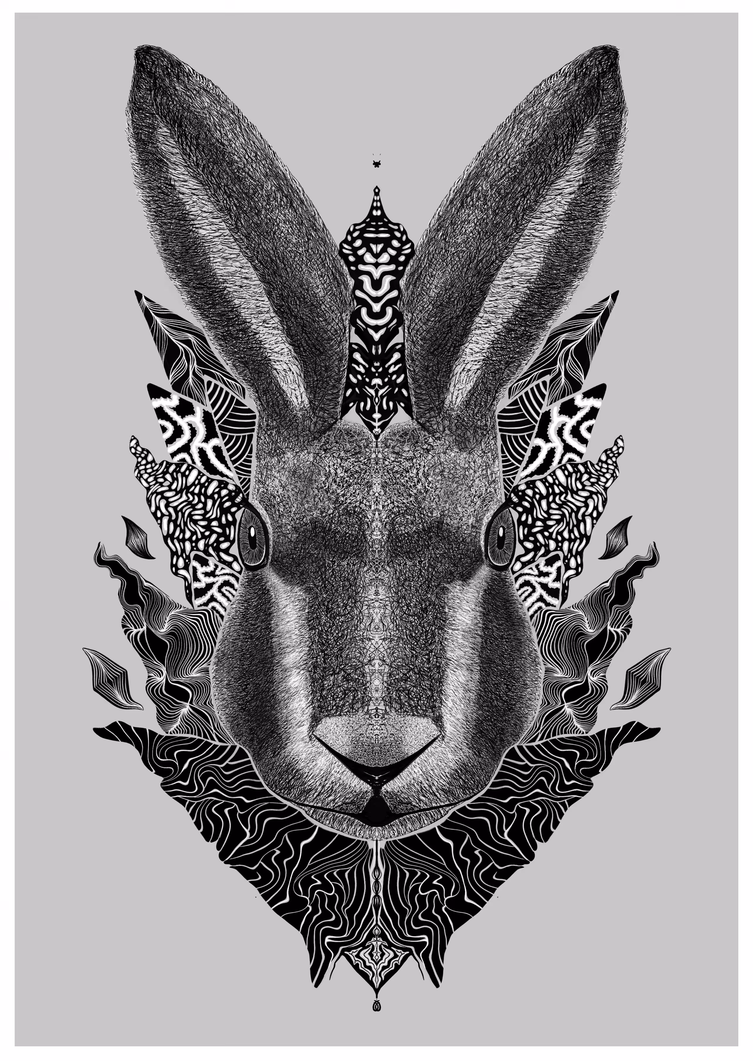 The Rabbit´s Message