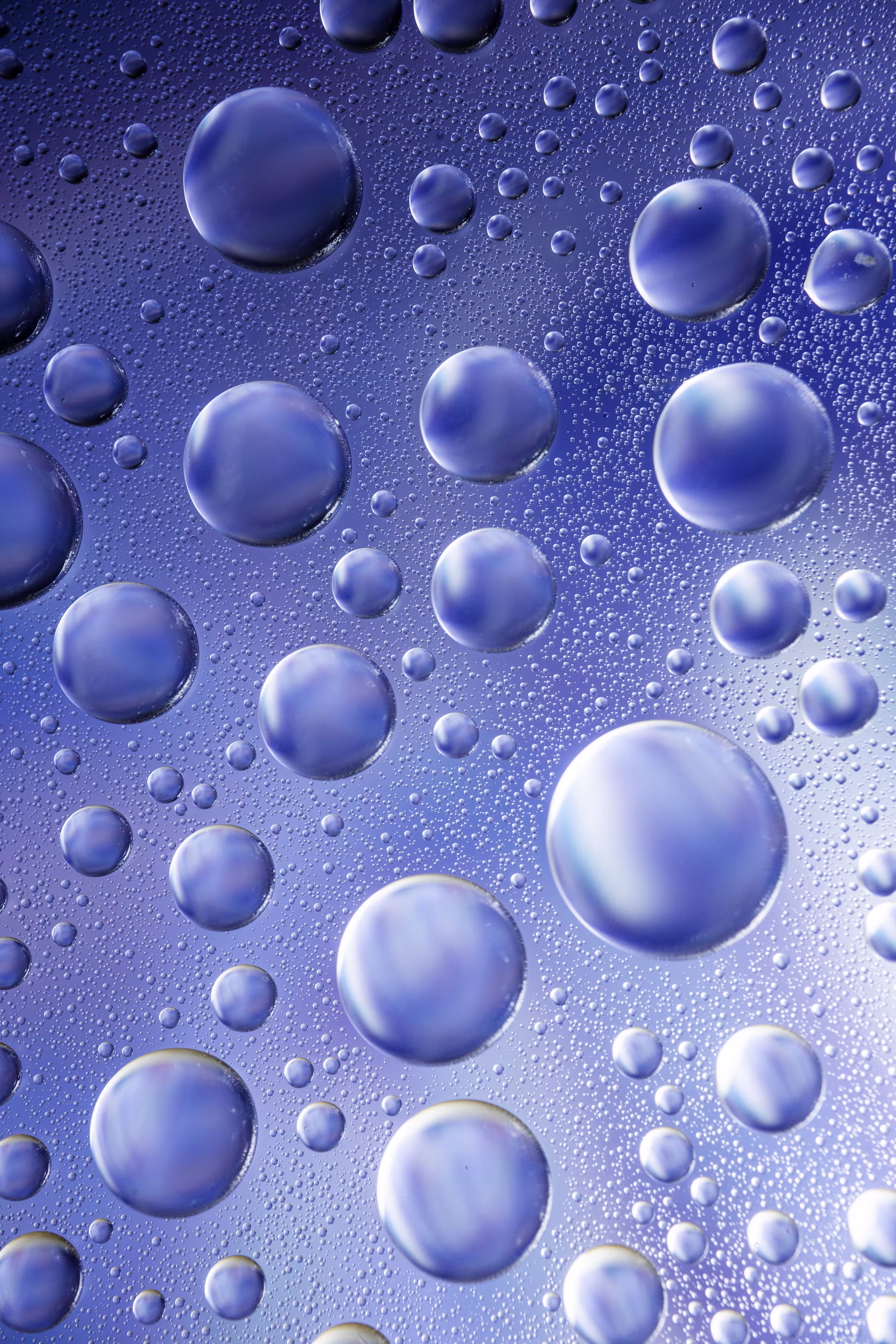 Blue Lustre