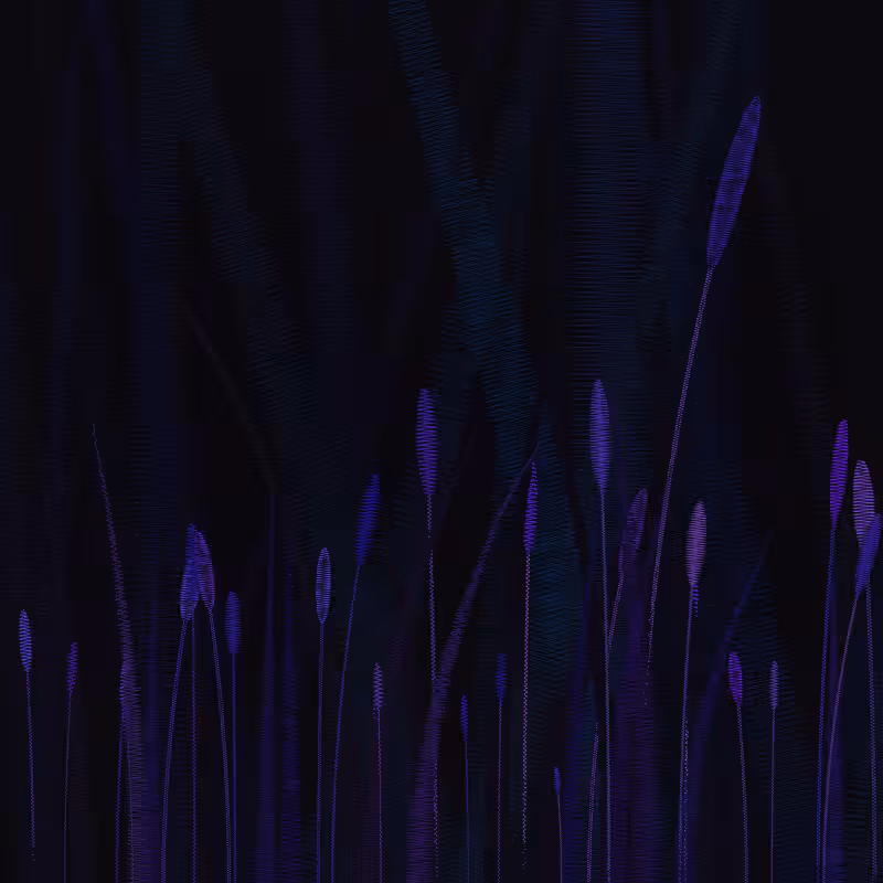 ZigZag Garden #62