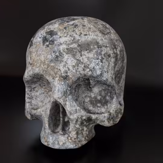 SkullZ #206