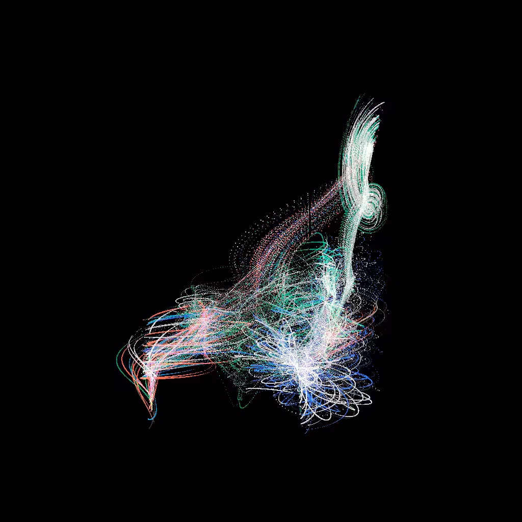 Birds #63