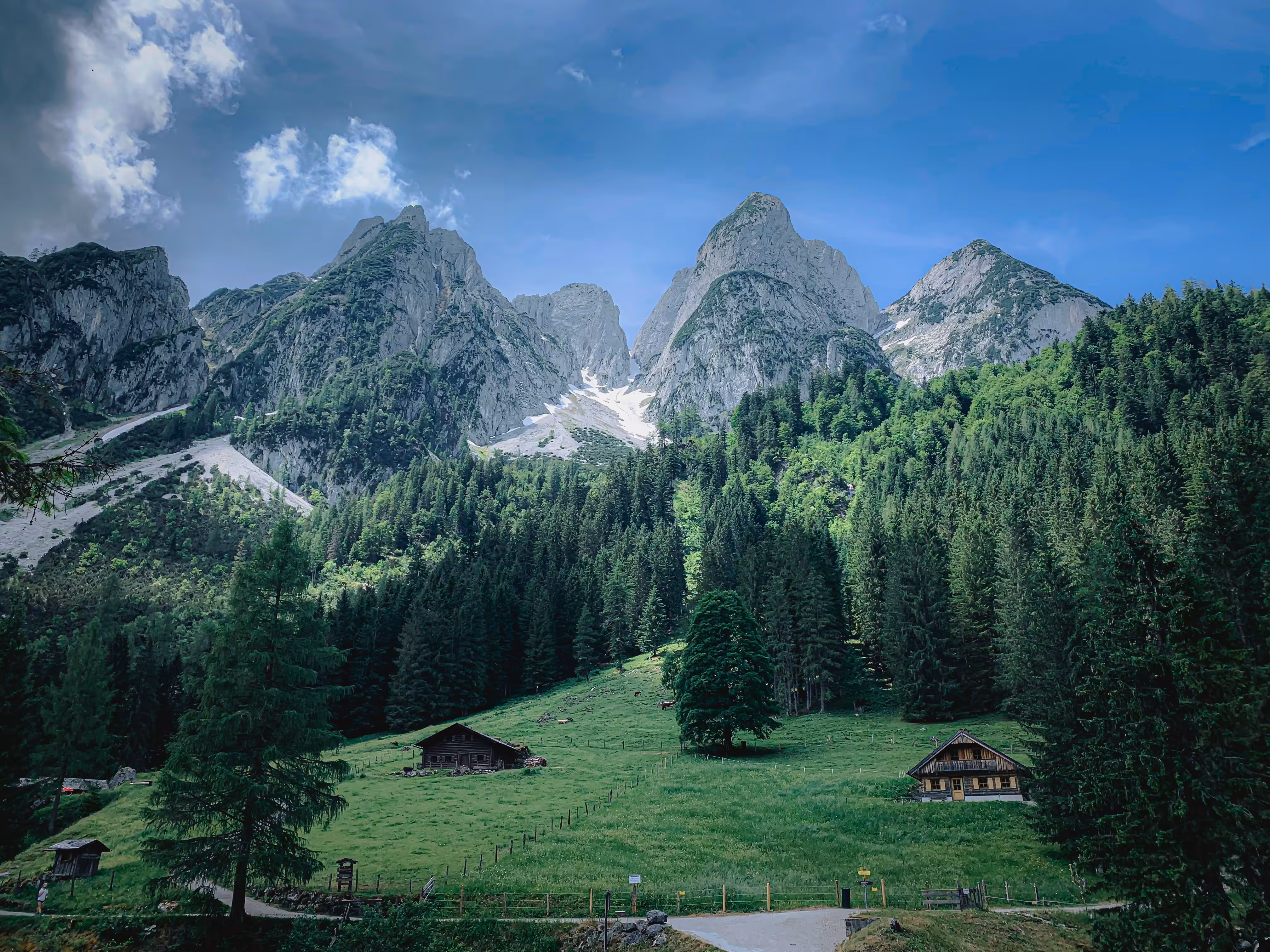 An Austrian Summer
