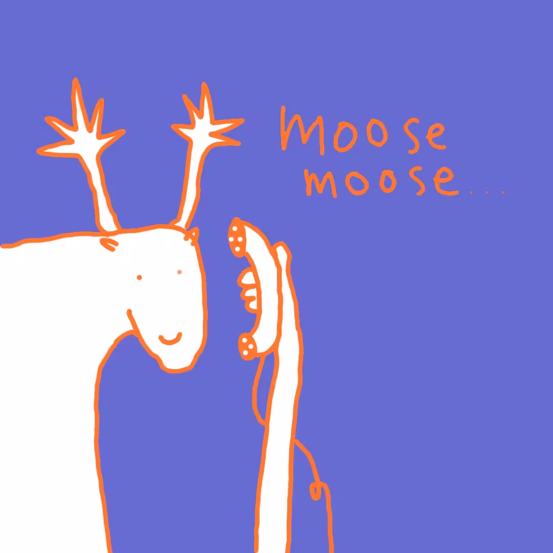 Moose Moose 🤙🏼