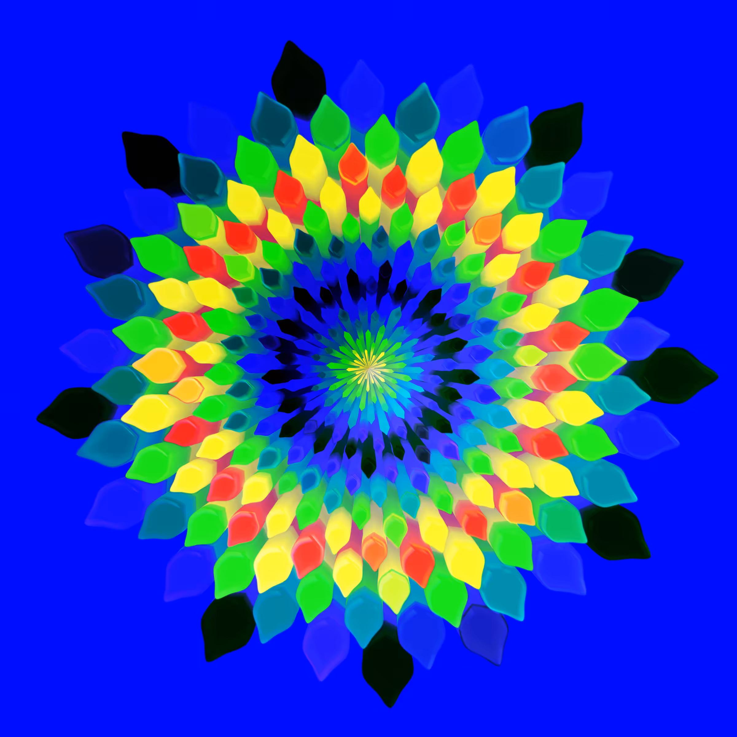 Fractal Bloom