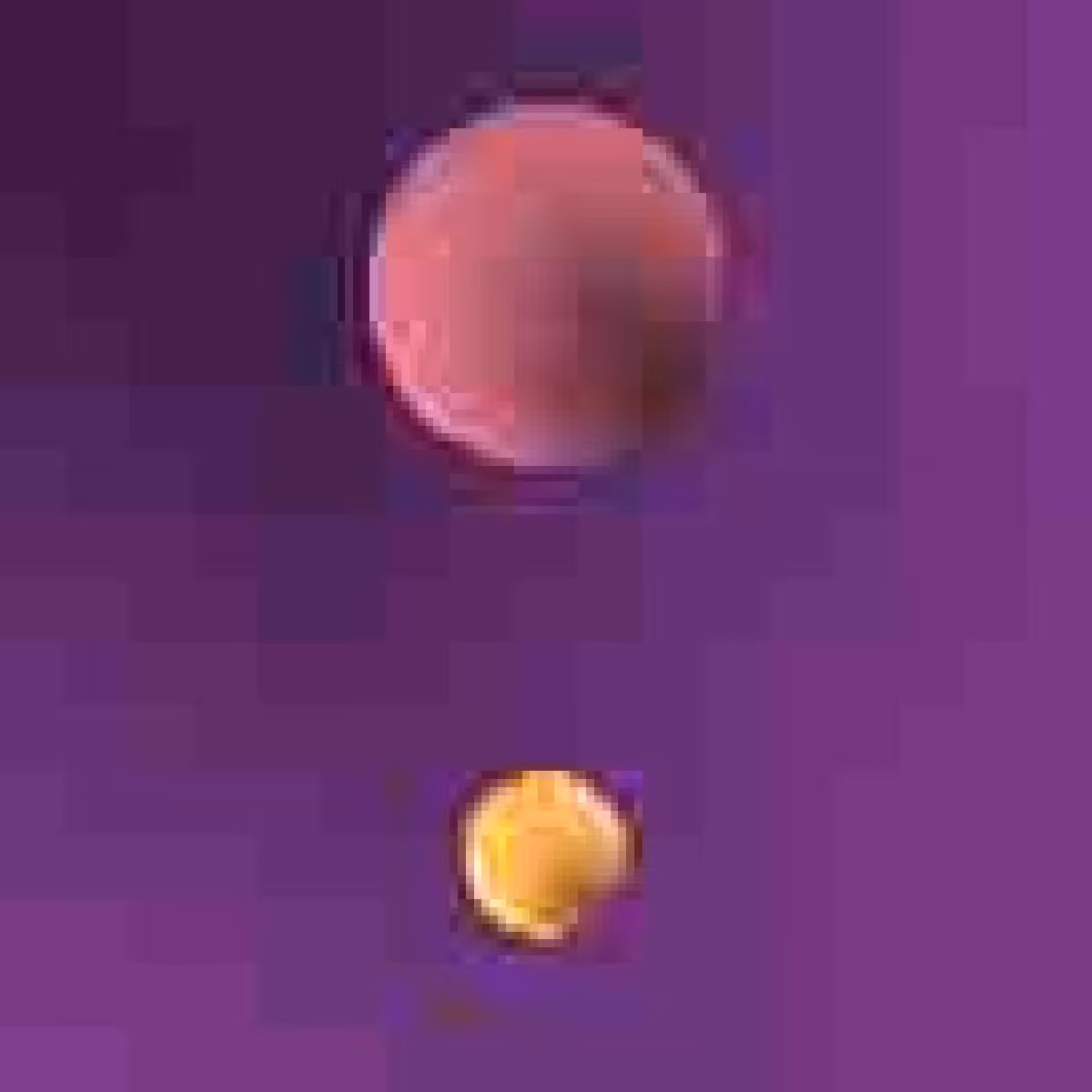 Orbit 737454969