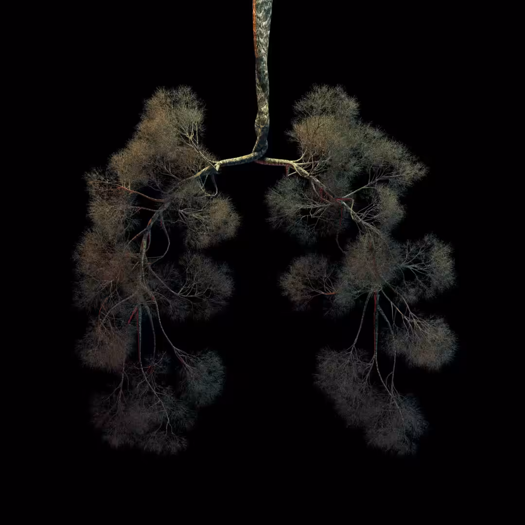 Green lung