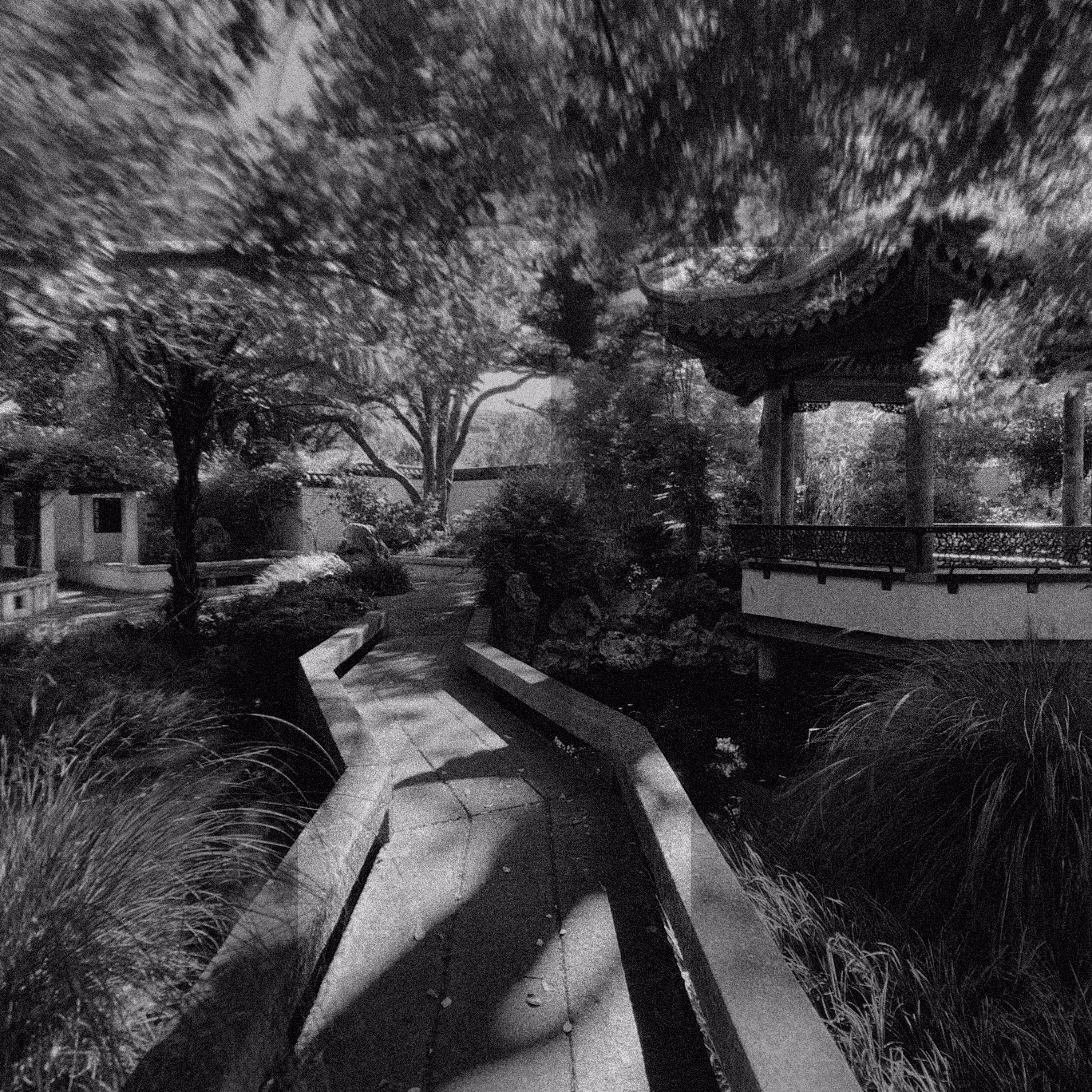 328.OE: Queens Garden