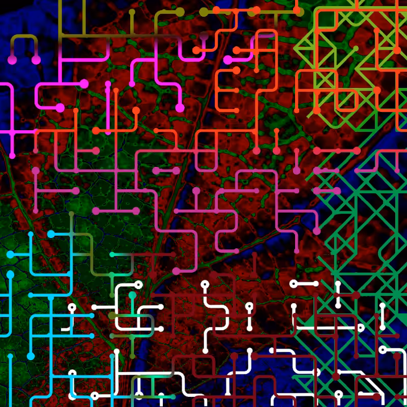 CHAOS #2