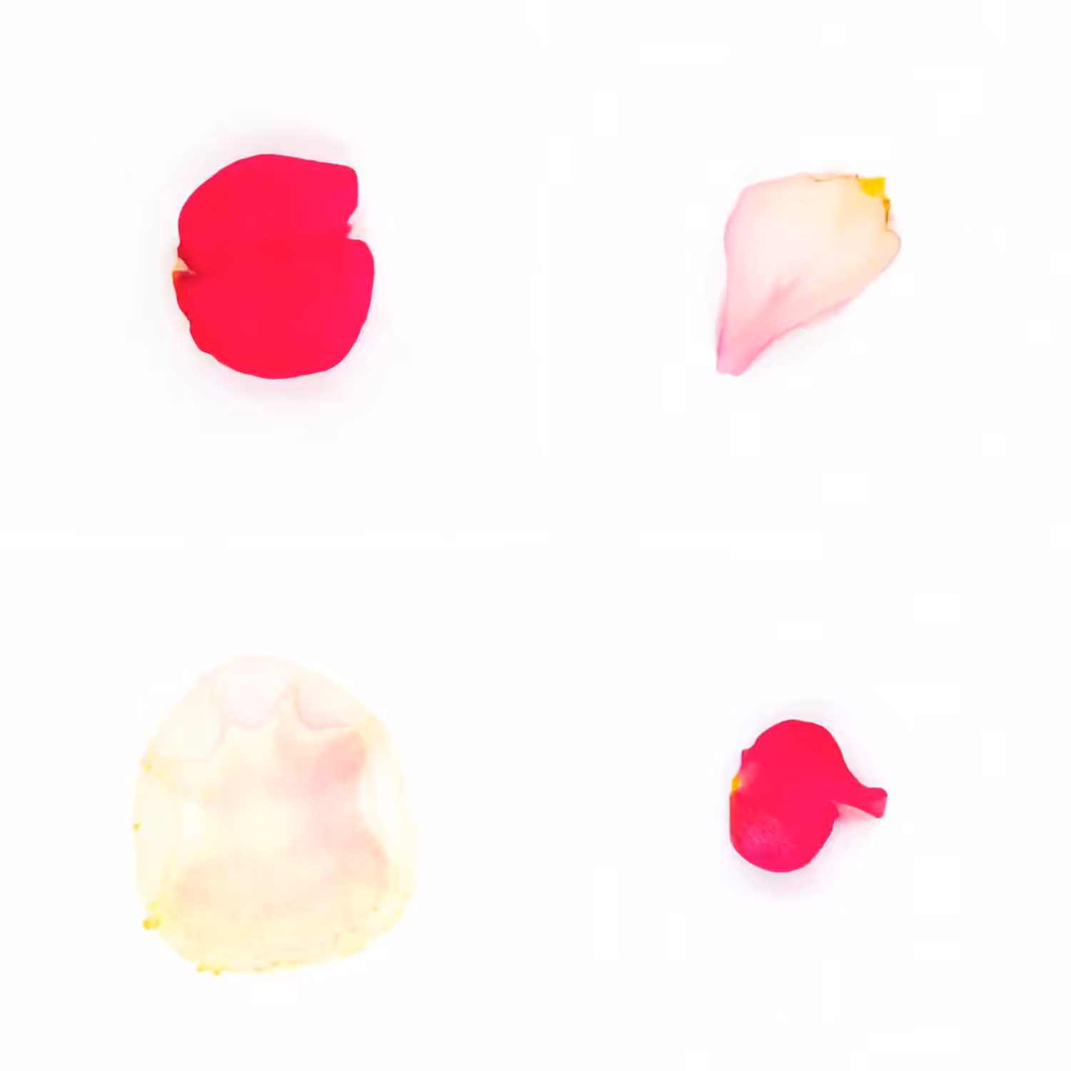 Infinite Petals 2x2#3168