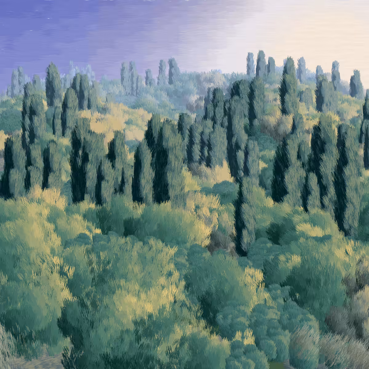 Provence #236