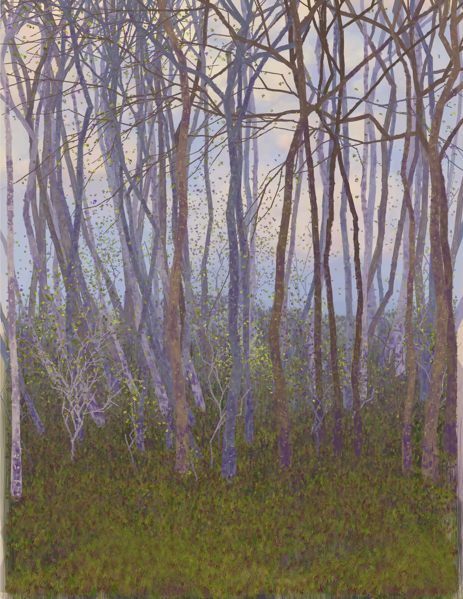 Deep Forest #347