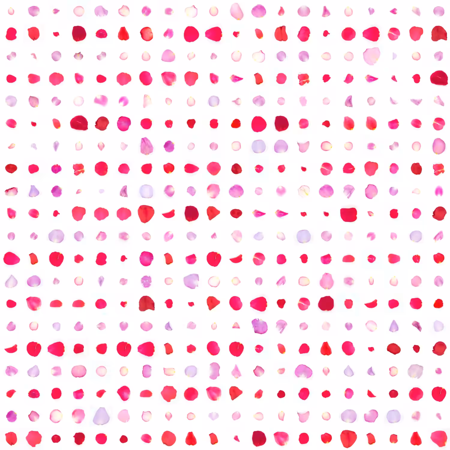 Infinite Petals 20x20#13447