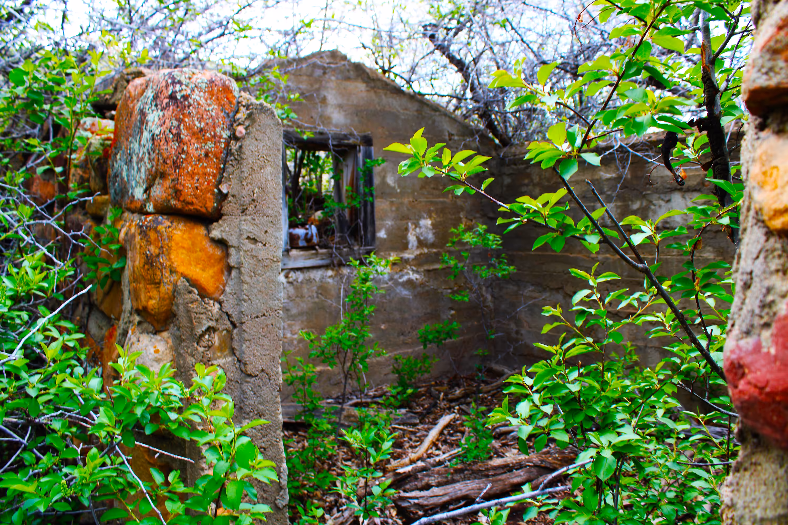 Photo Gardens: Lost and found