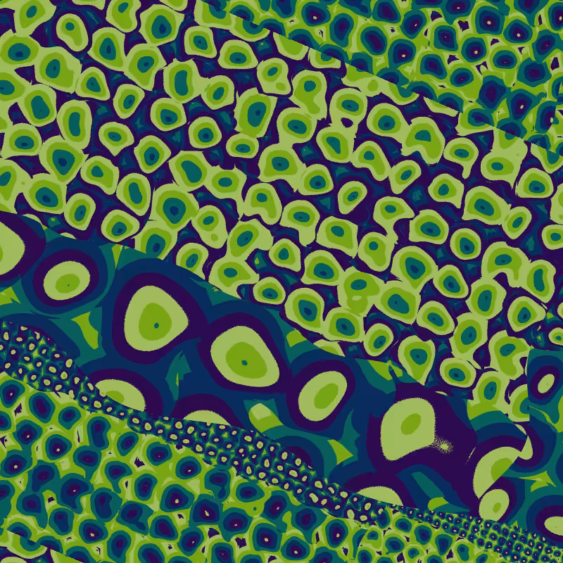 Cellulae #76