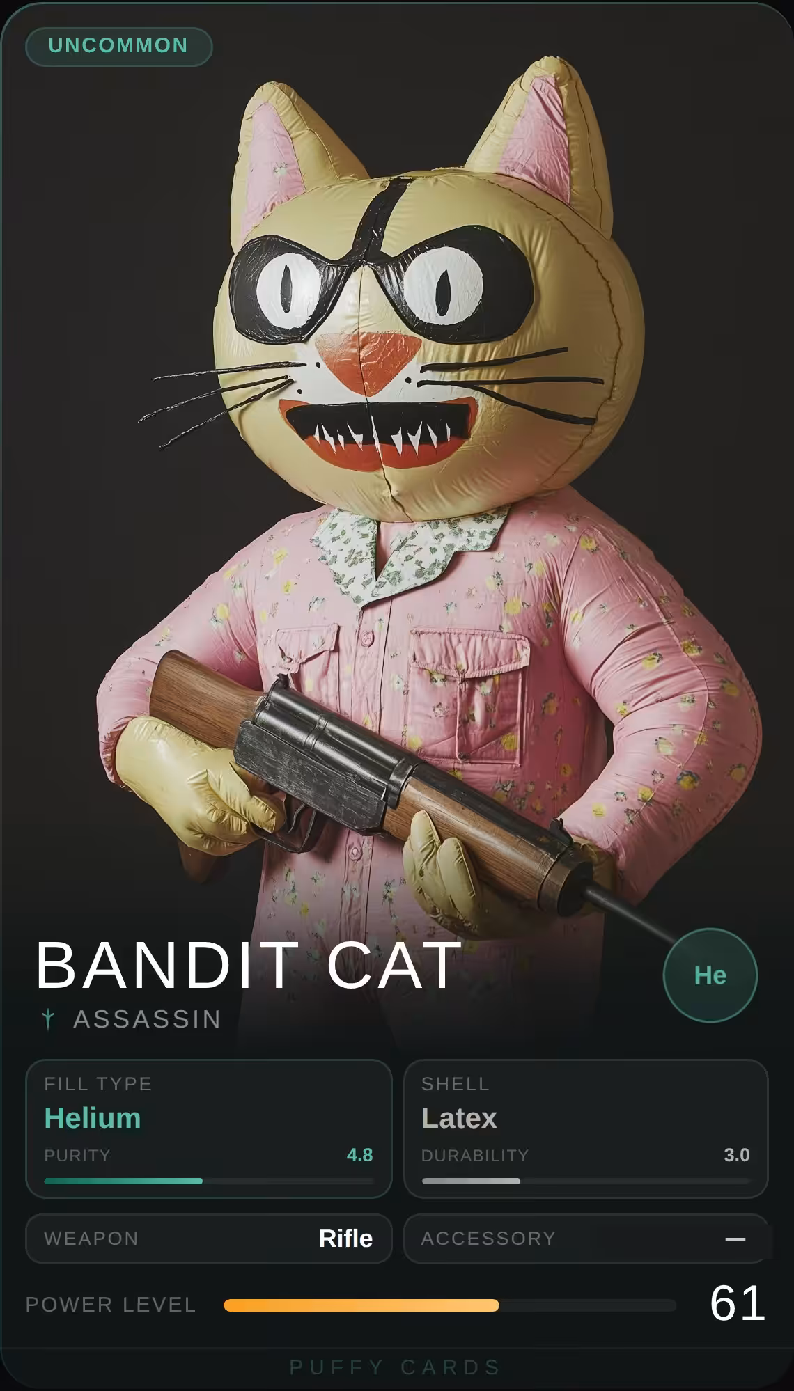 Bandit Cat