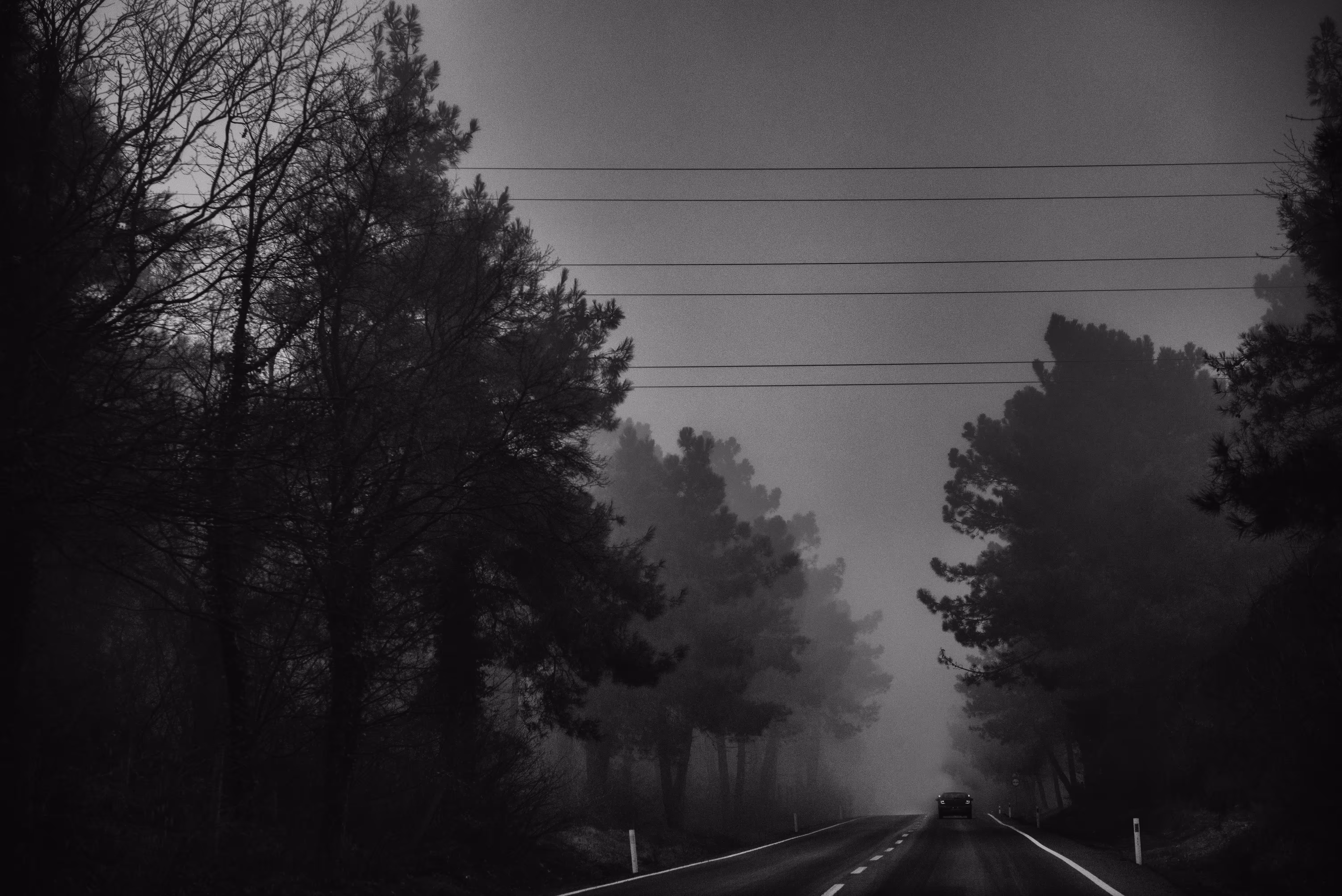 The Way of the Night