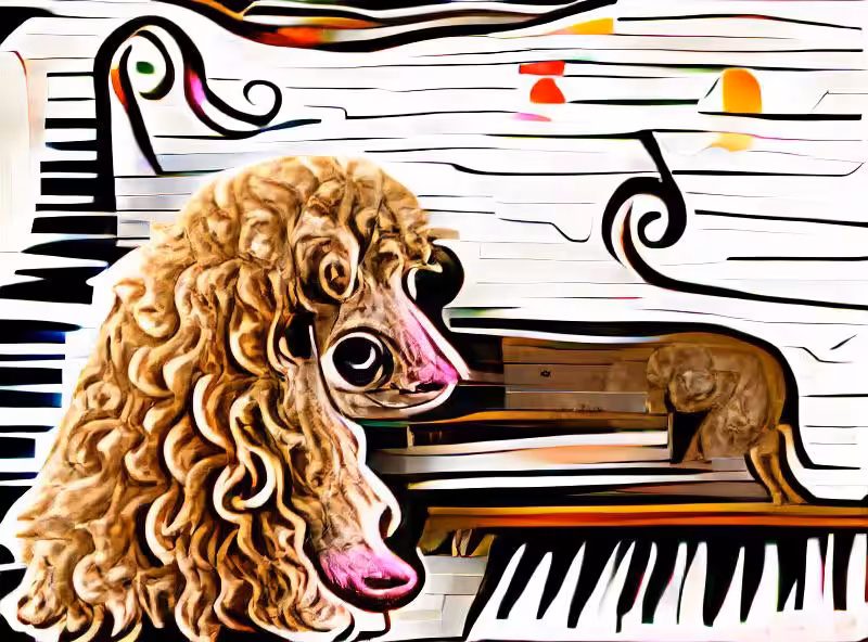 Abraham's First Works: Piano Poodle