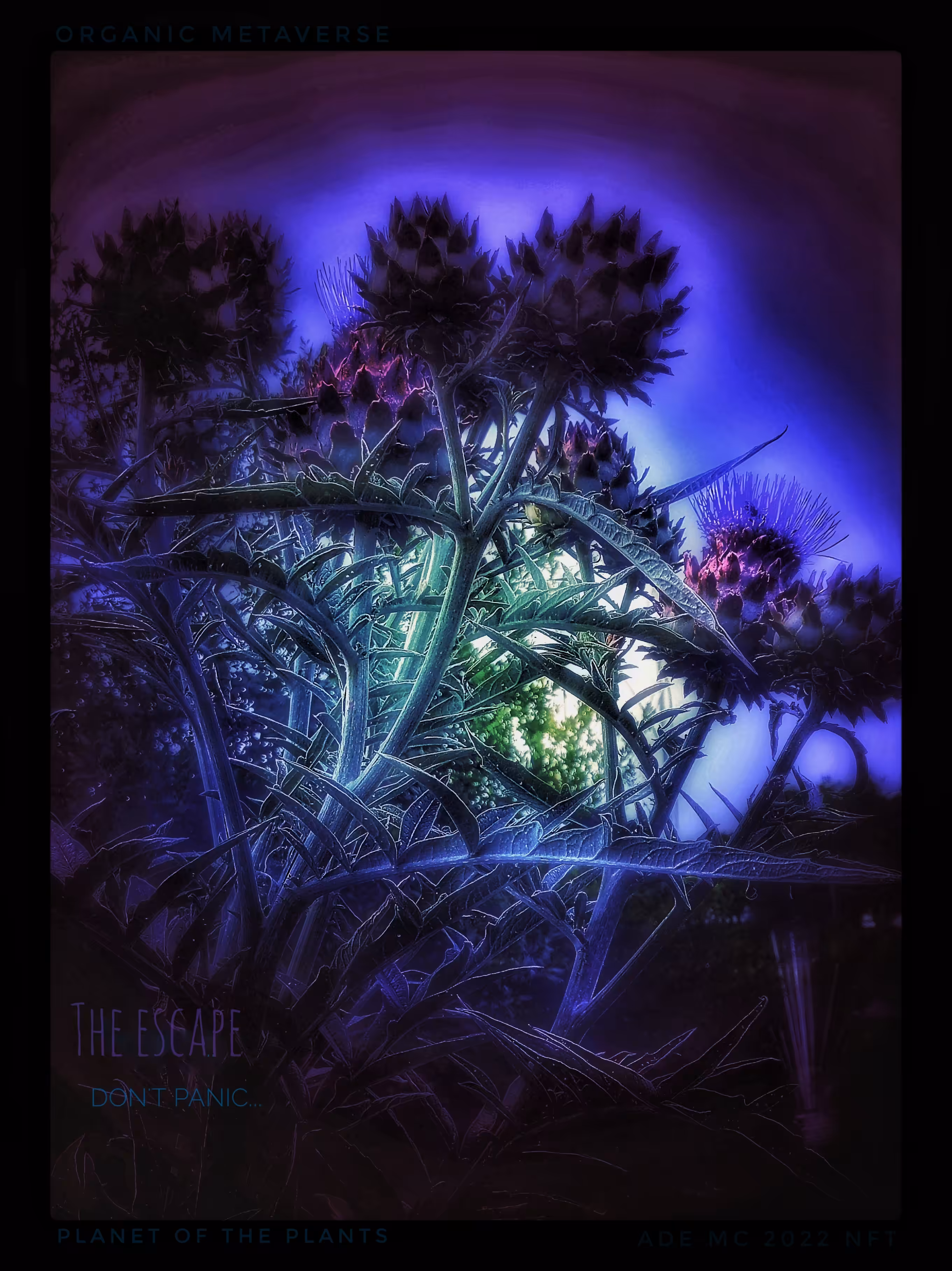Planet of the Plants