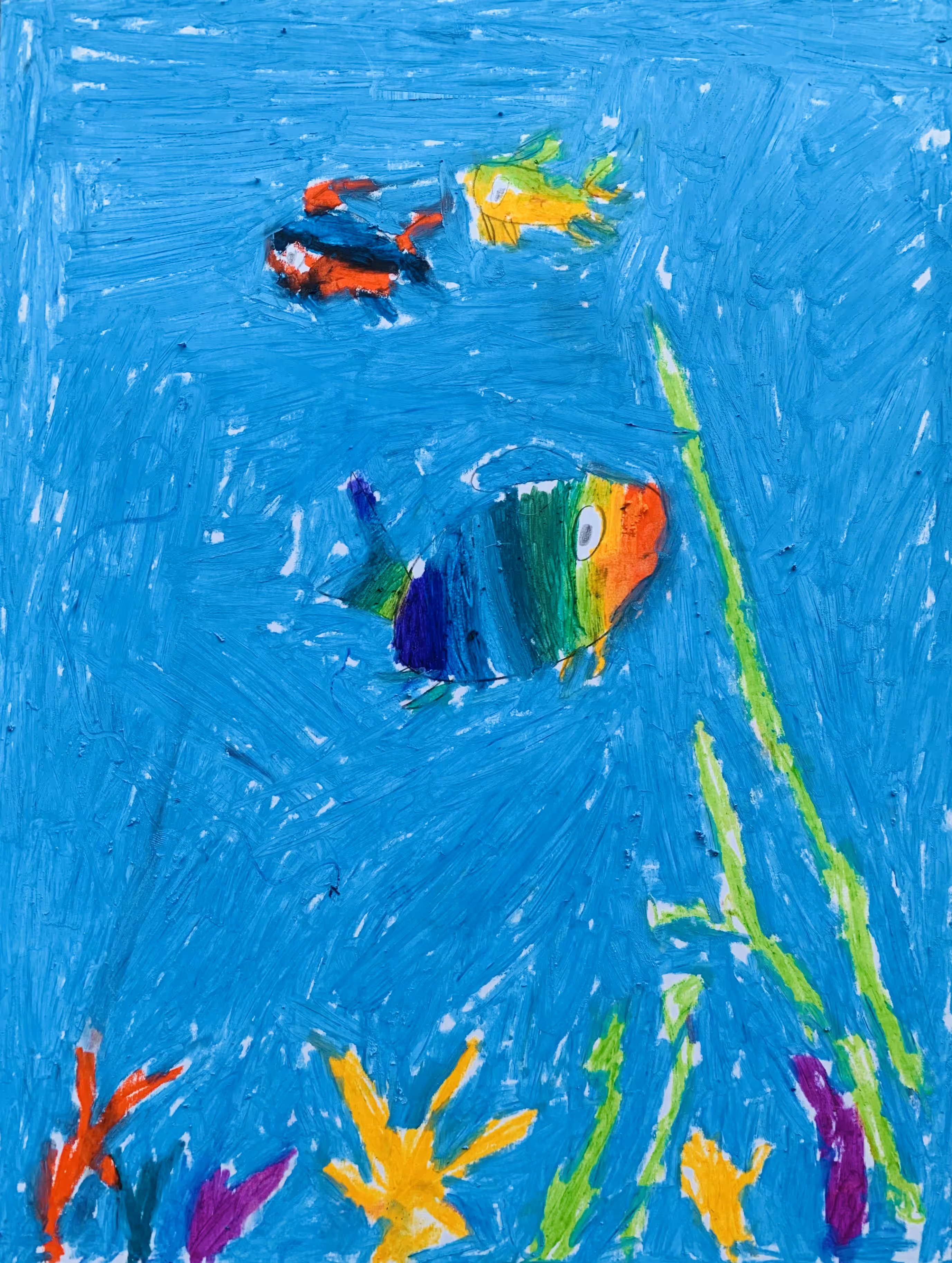 Rainbow Fish