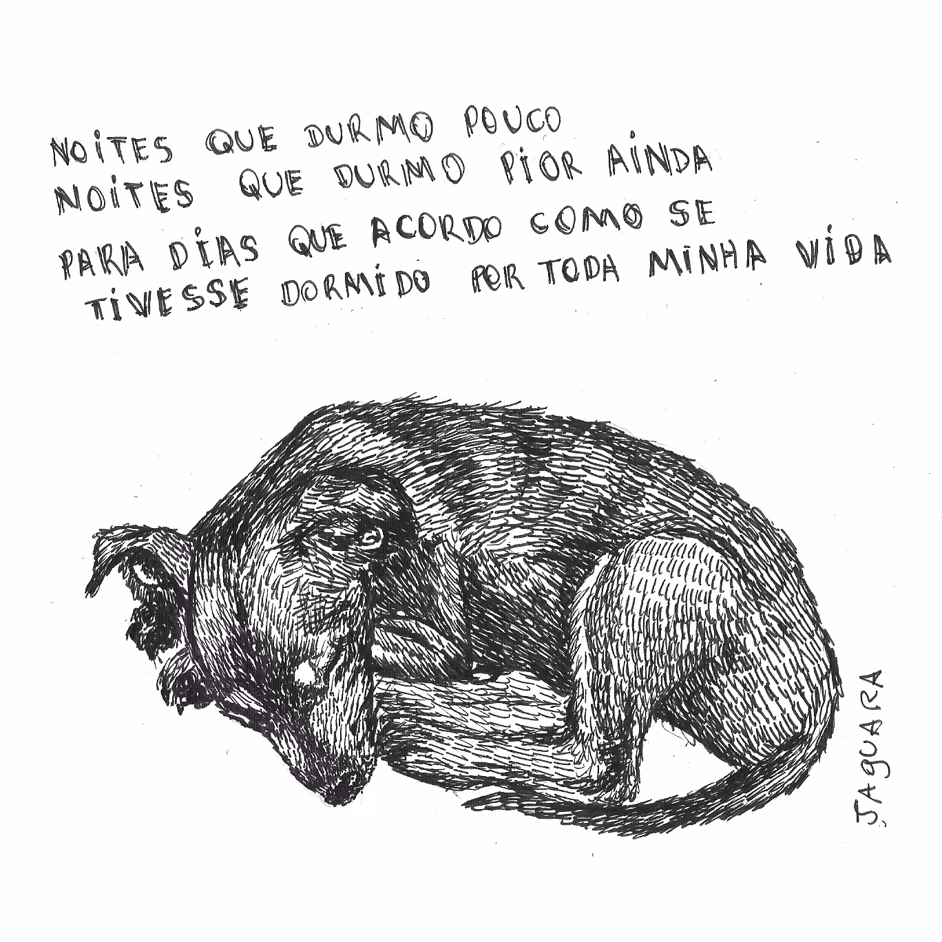  Short Nights