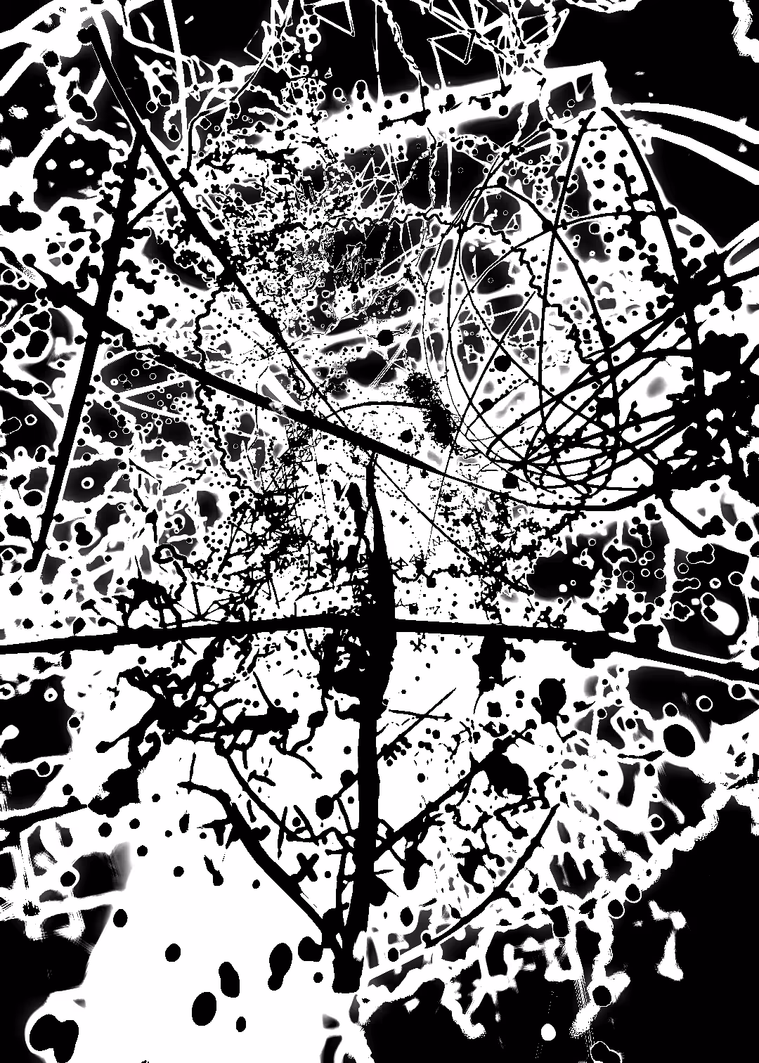 Black & Art #102