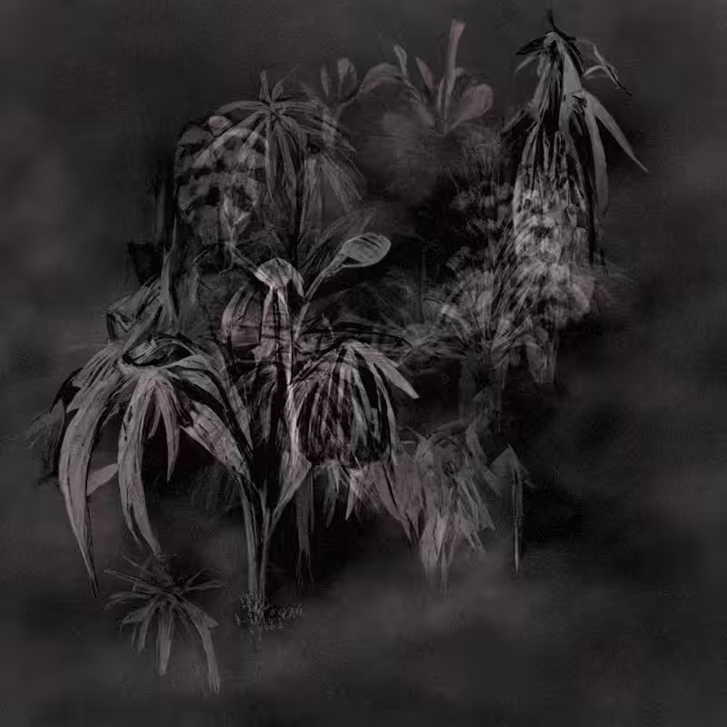 Hauntological Herbarium #22