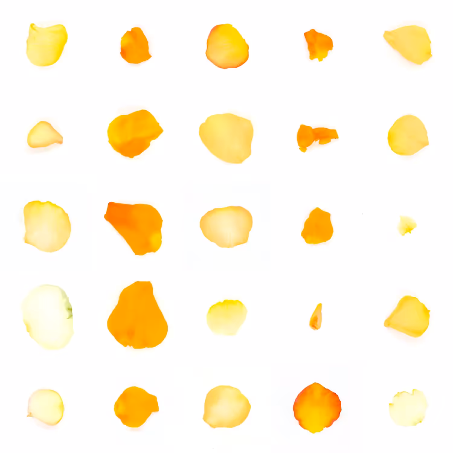 Infinite Petals 5x5#21118