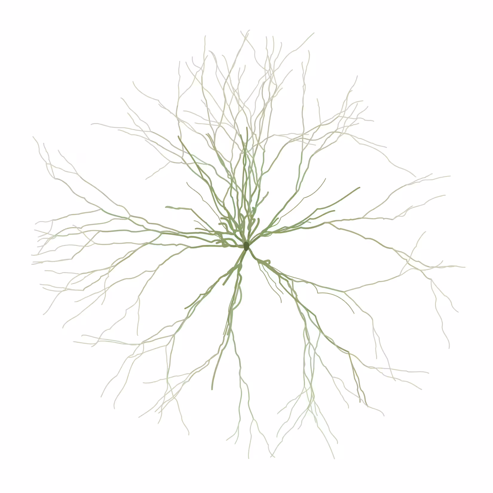 Ghost Forest Seedlings: Ghost Forest Seedling #425